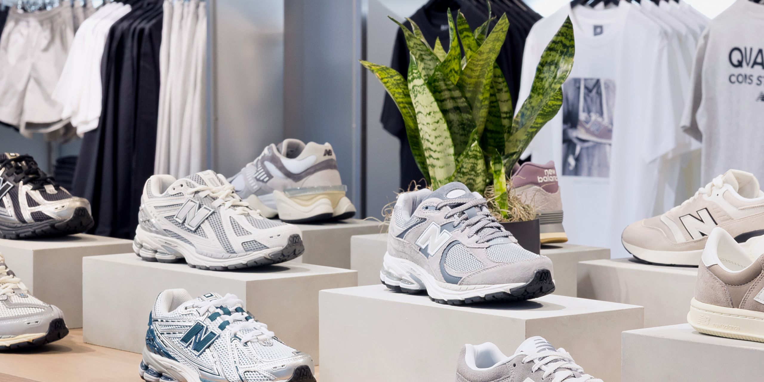 A hero Rosie Lee image