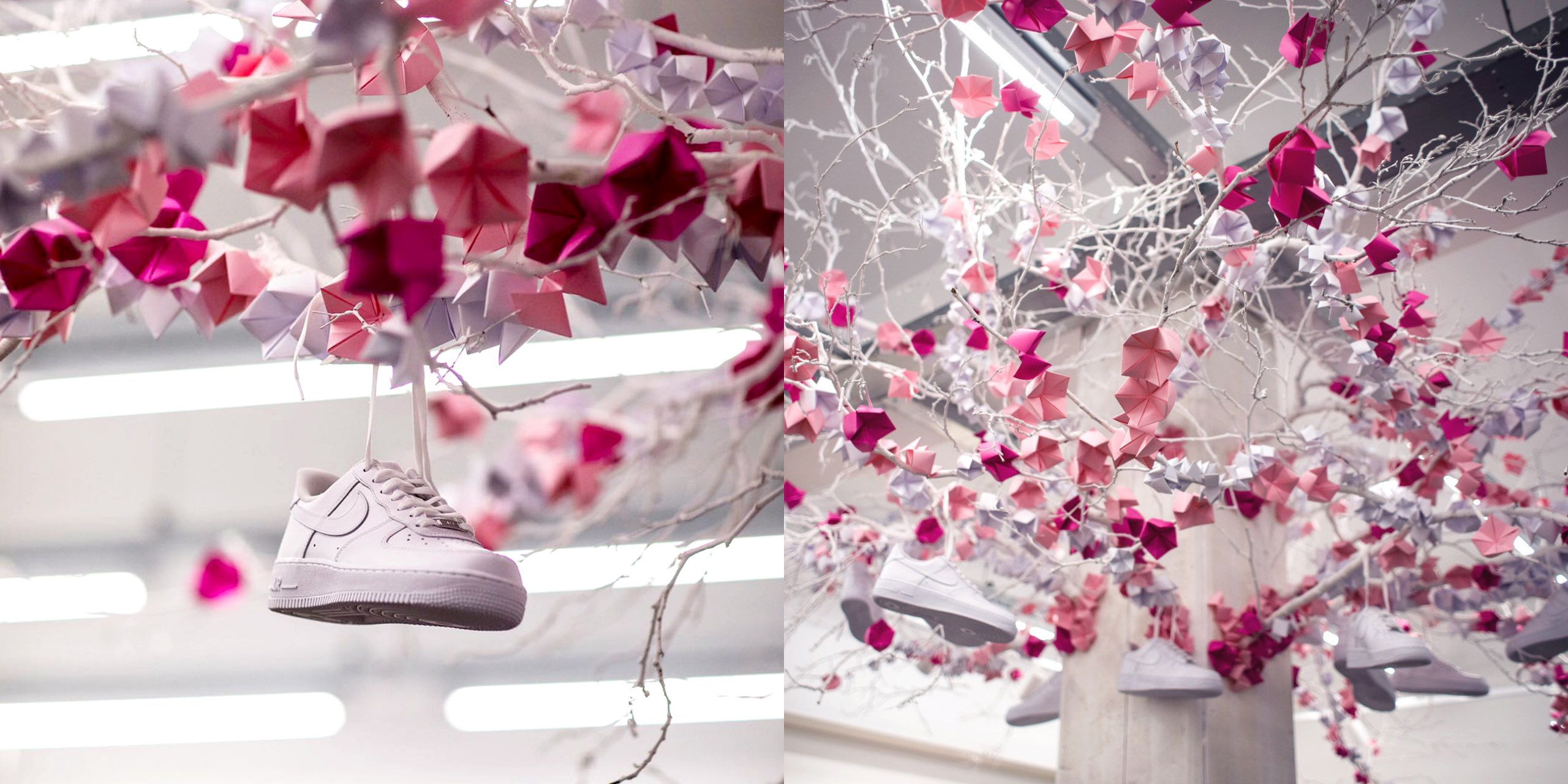 A hero Rosie Lee image