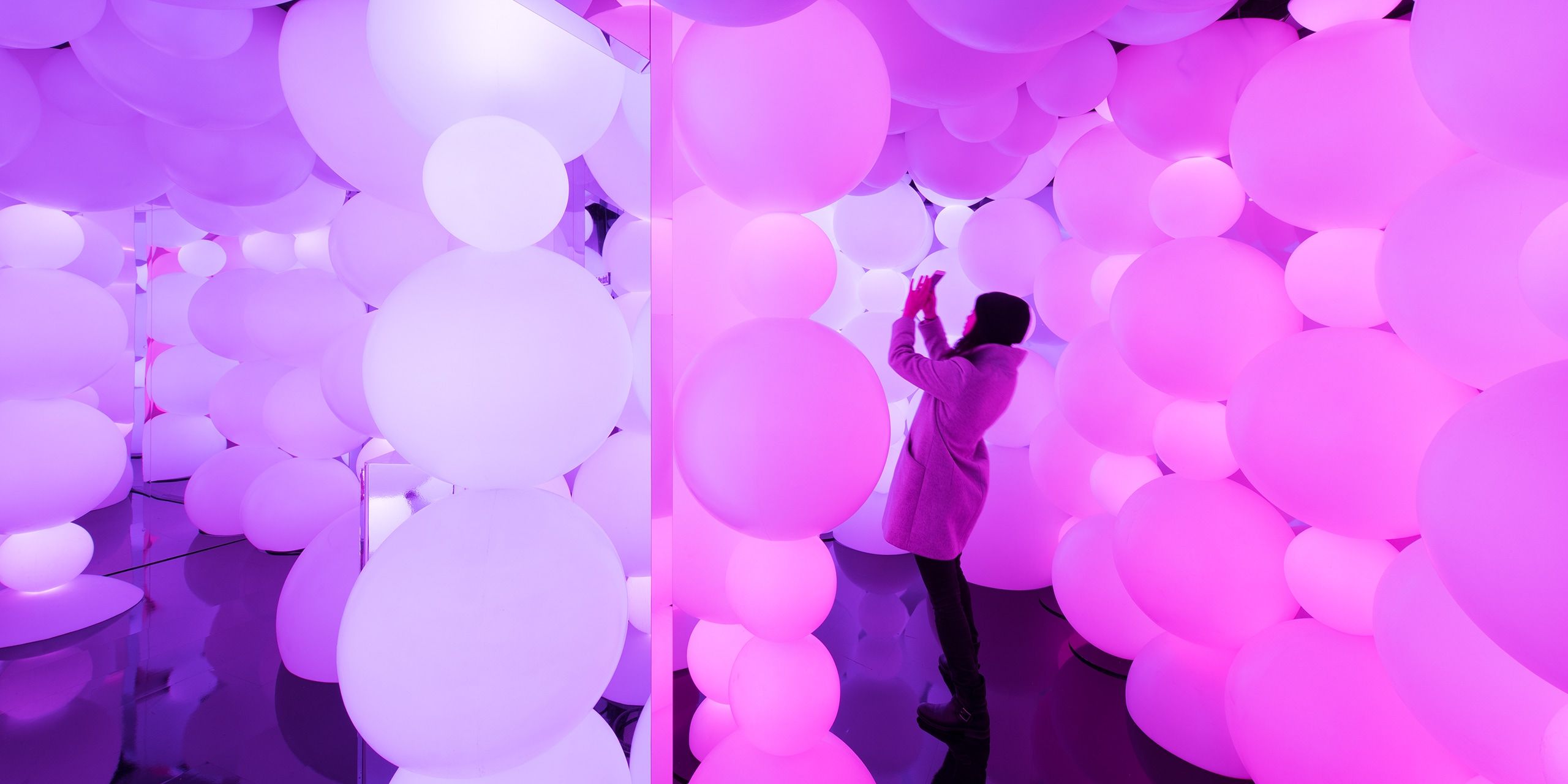 A hero Rosie Lee image