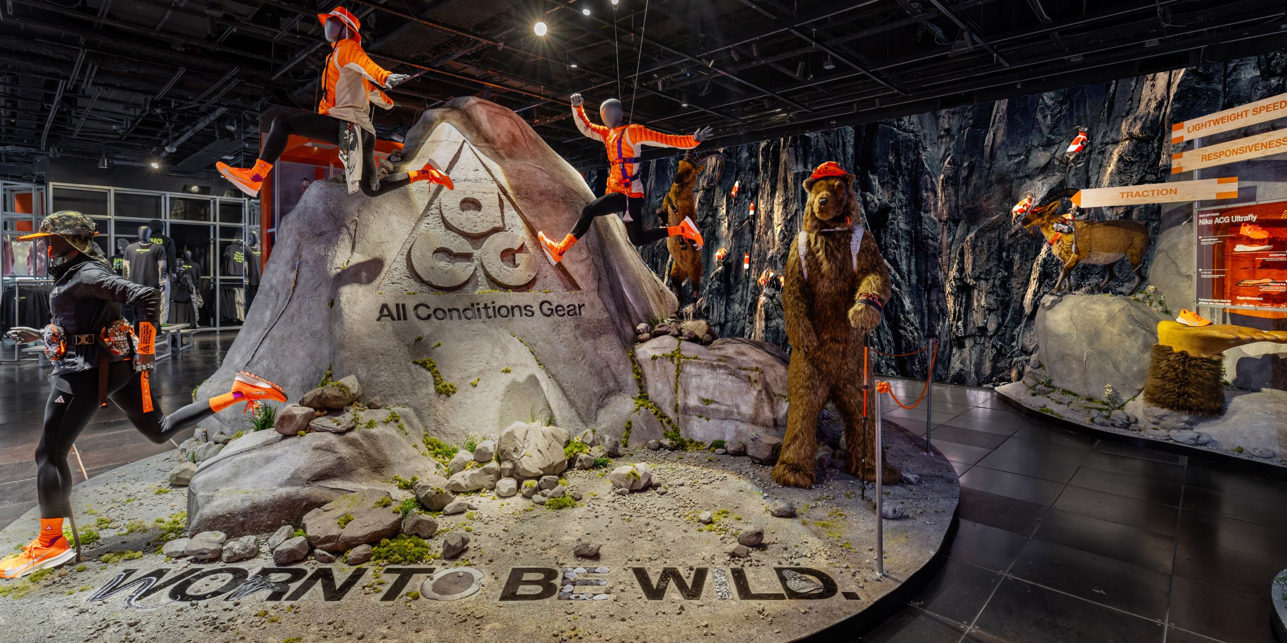 A hero Rosie Lee image