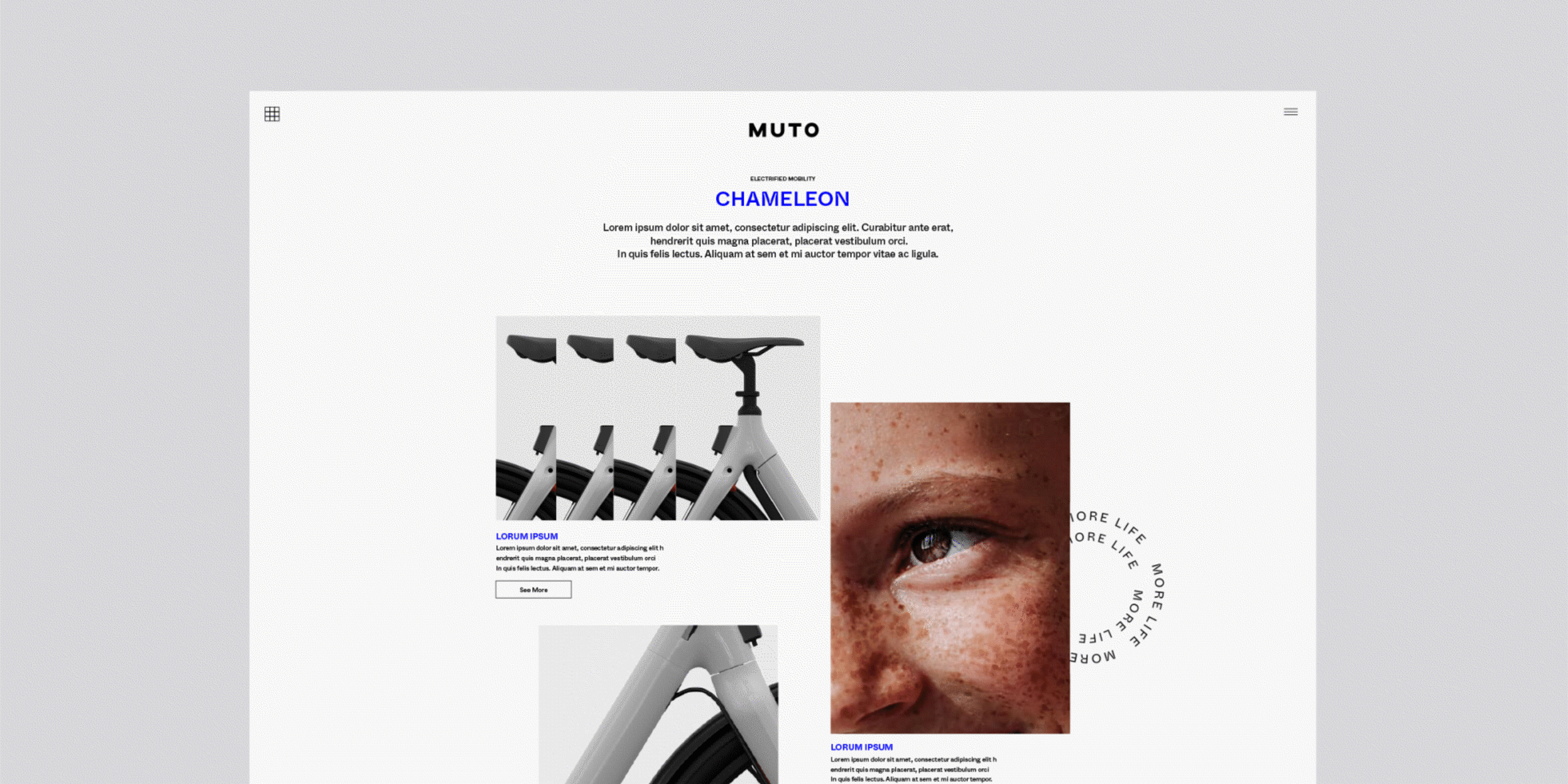 A hero Rosie Lee image