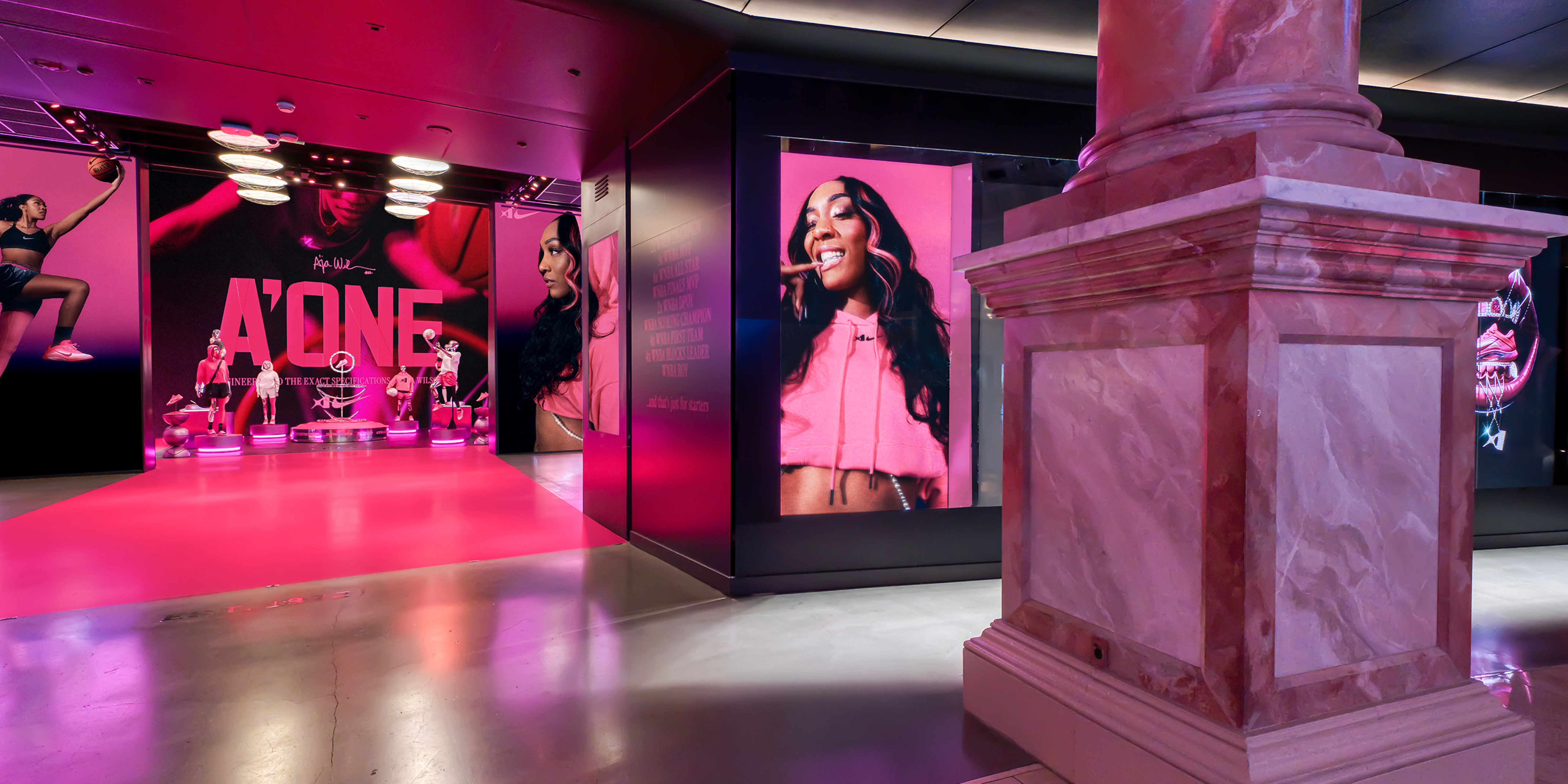 A hero Rosie Lee image