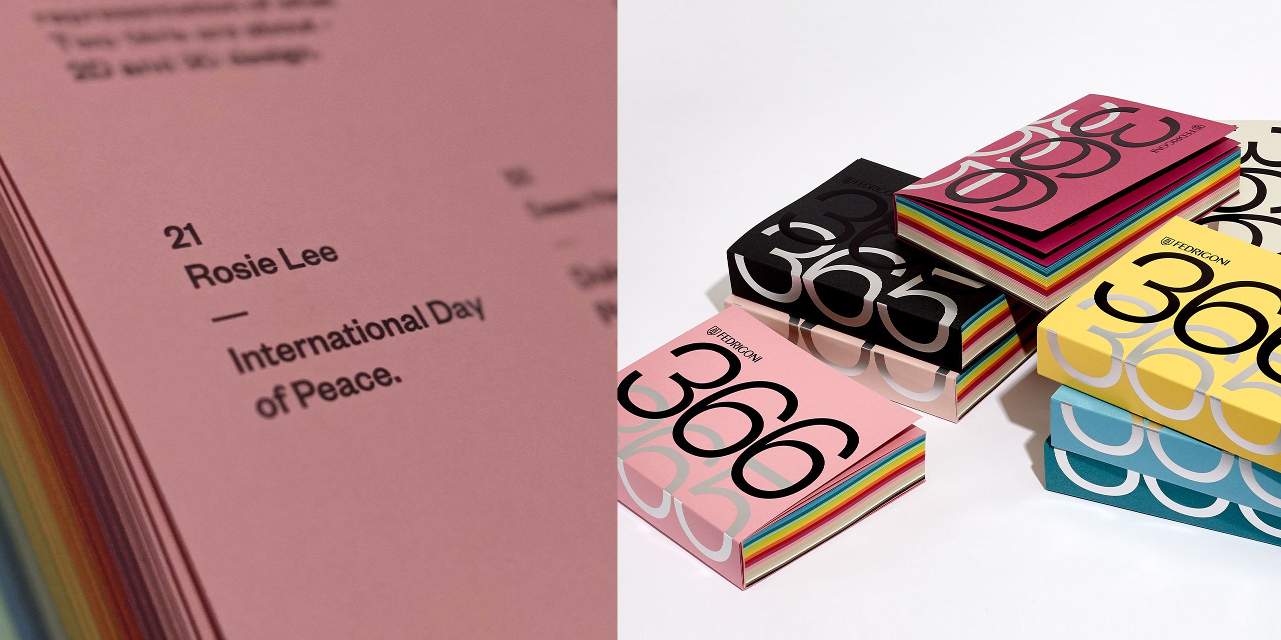 A hero Rosie Lee image