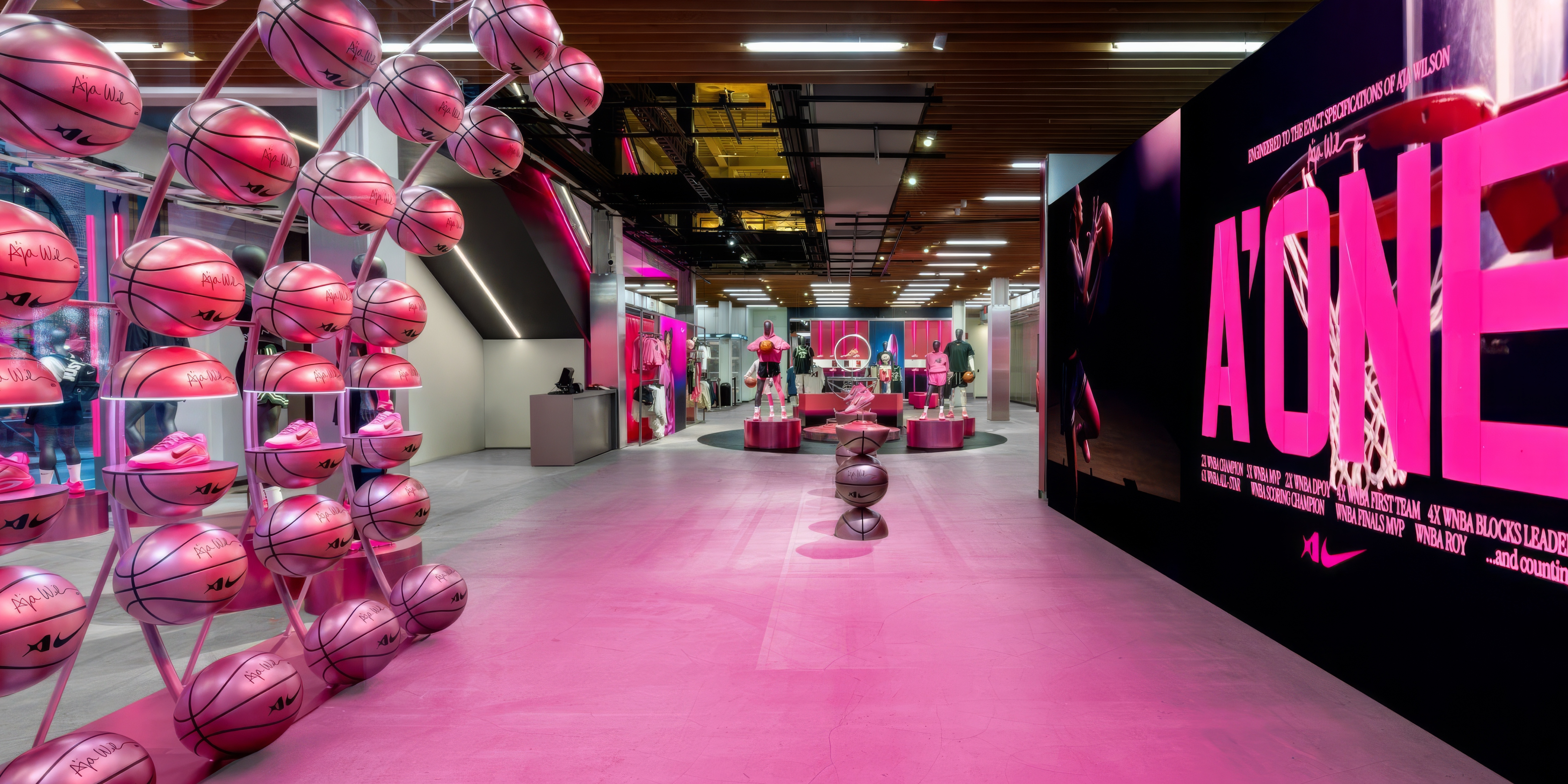 A hero Rosie Lee image