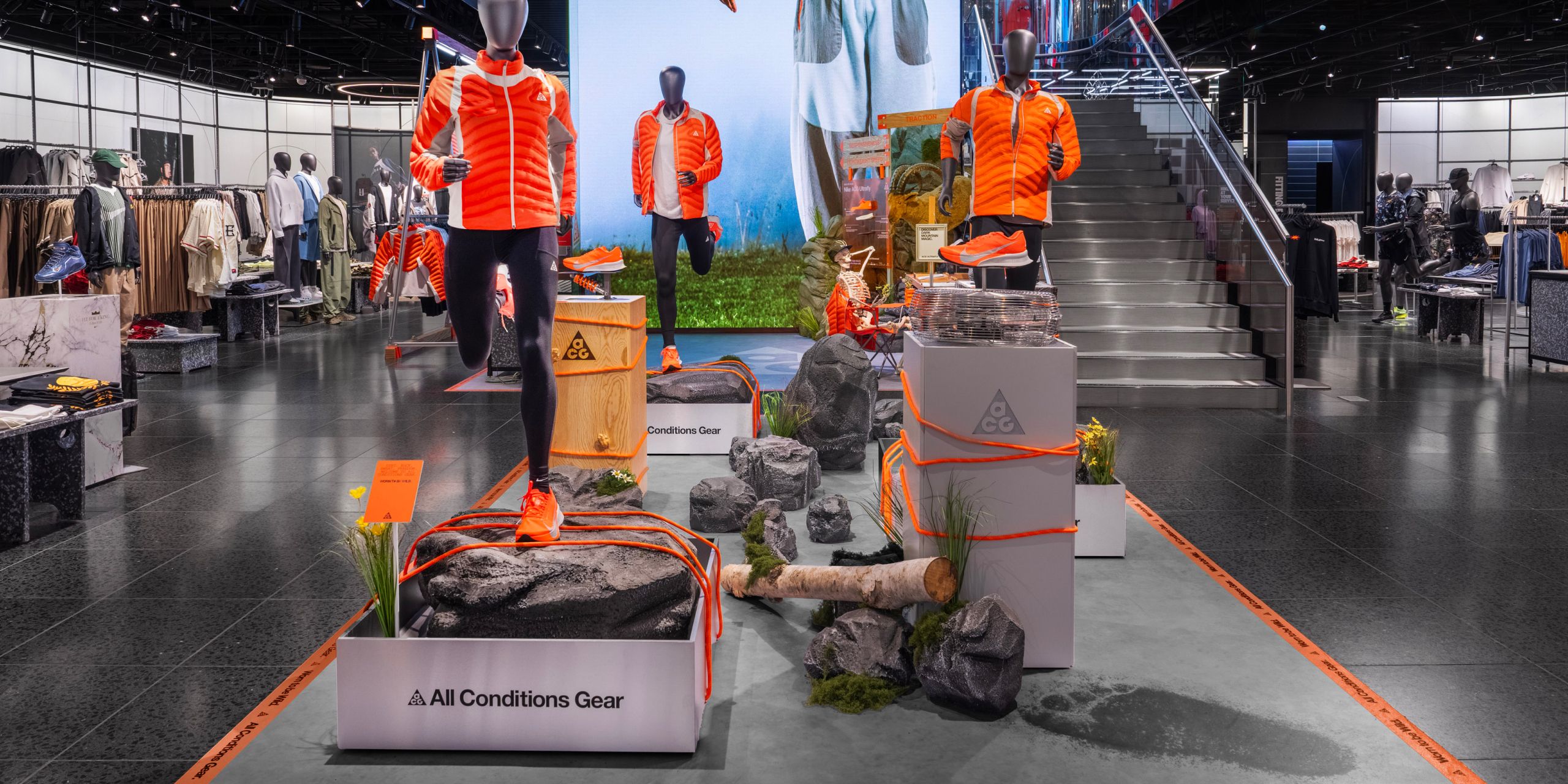 A hero Rosie Lee image