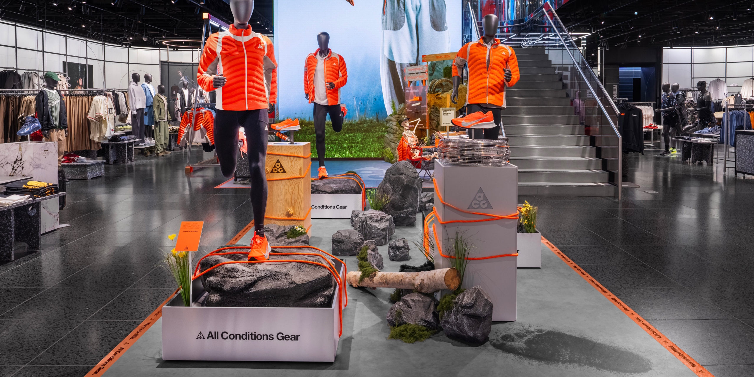 A hero Rosie Lee image