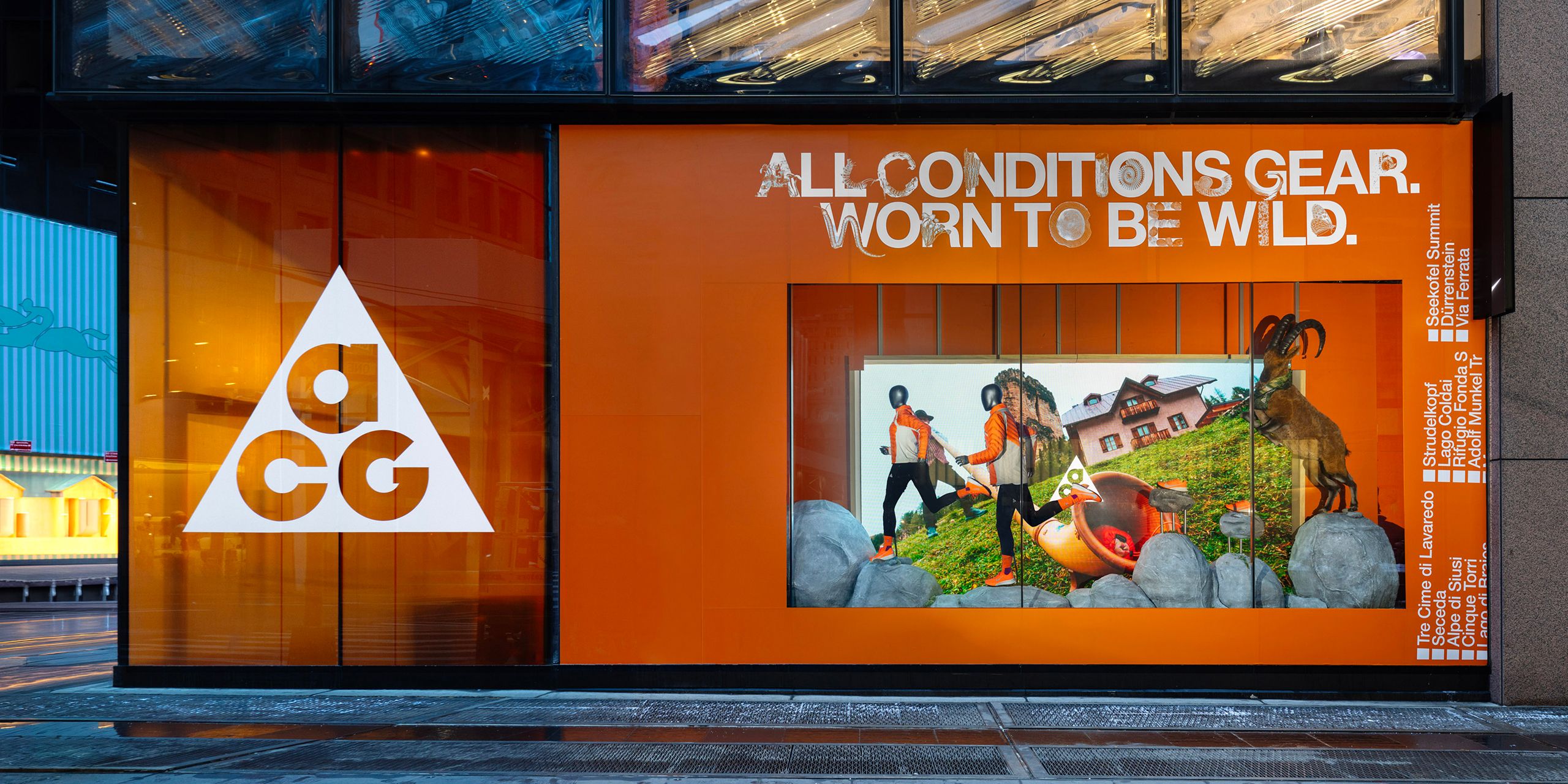 A hero Rosie Lee image