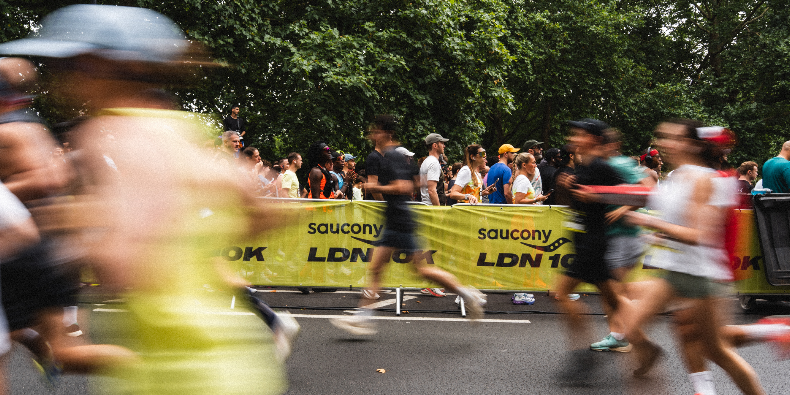 A hero Rosie Lee image