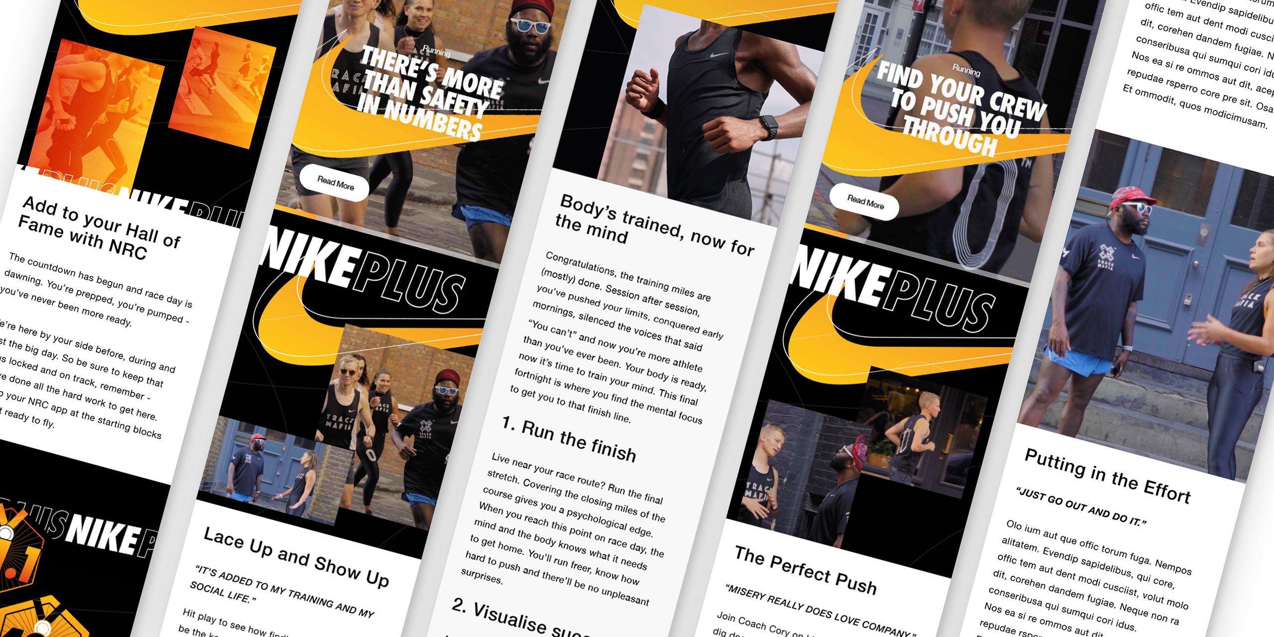 A hero Rosie Lee image