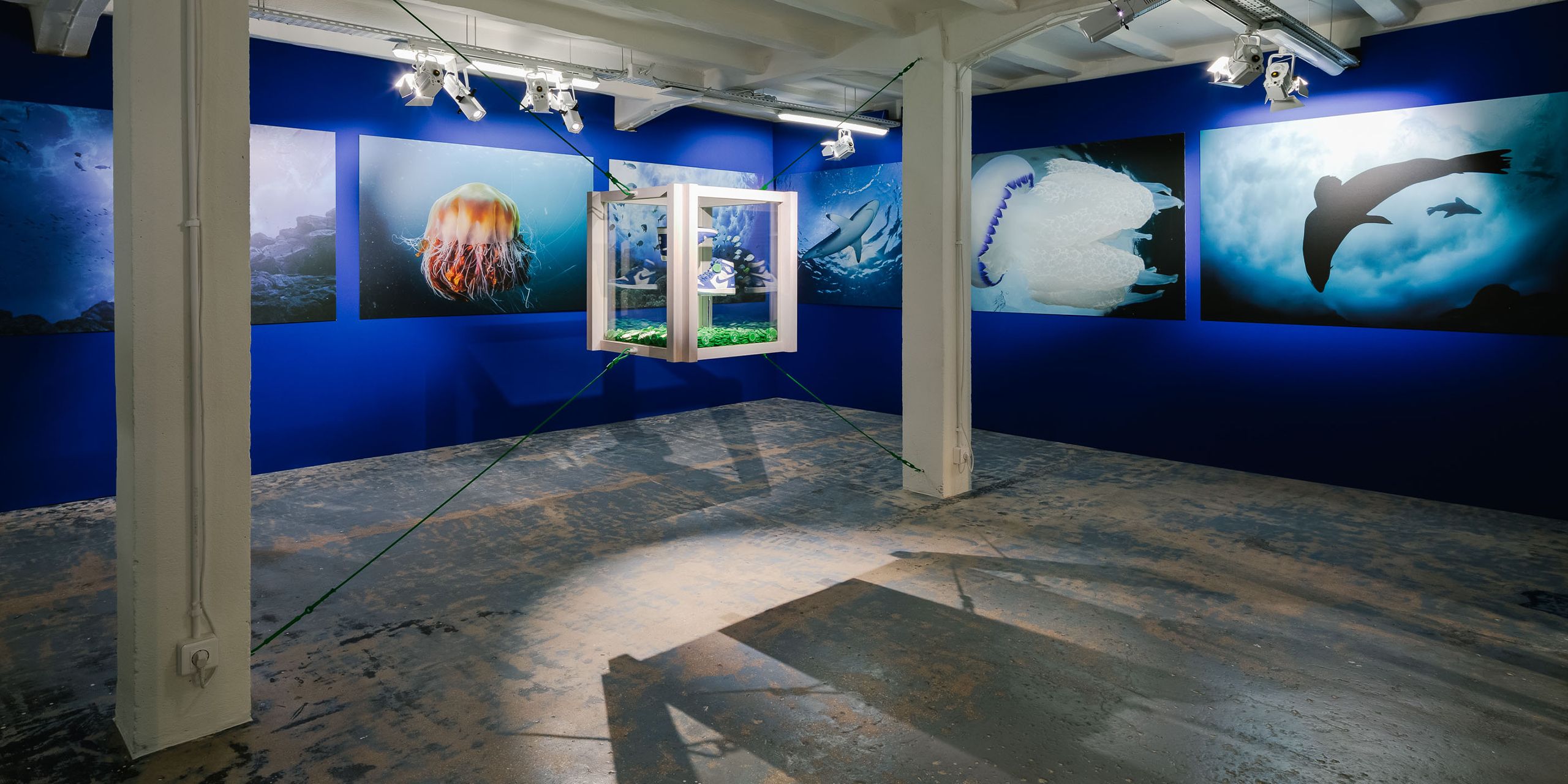 A hero Rosie Lee image