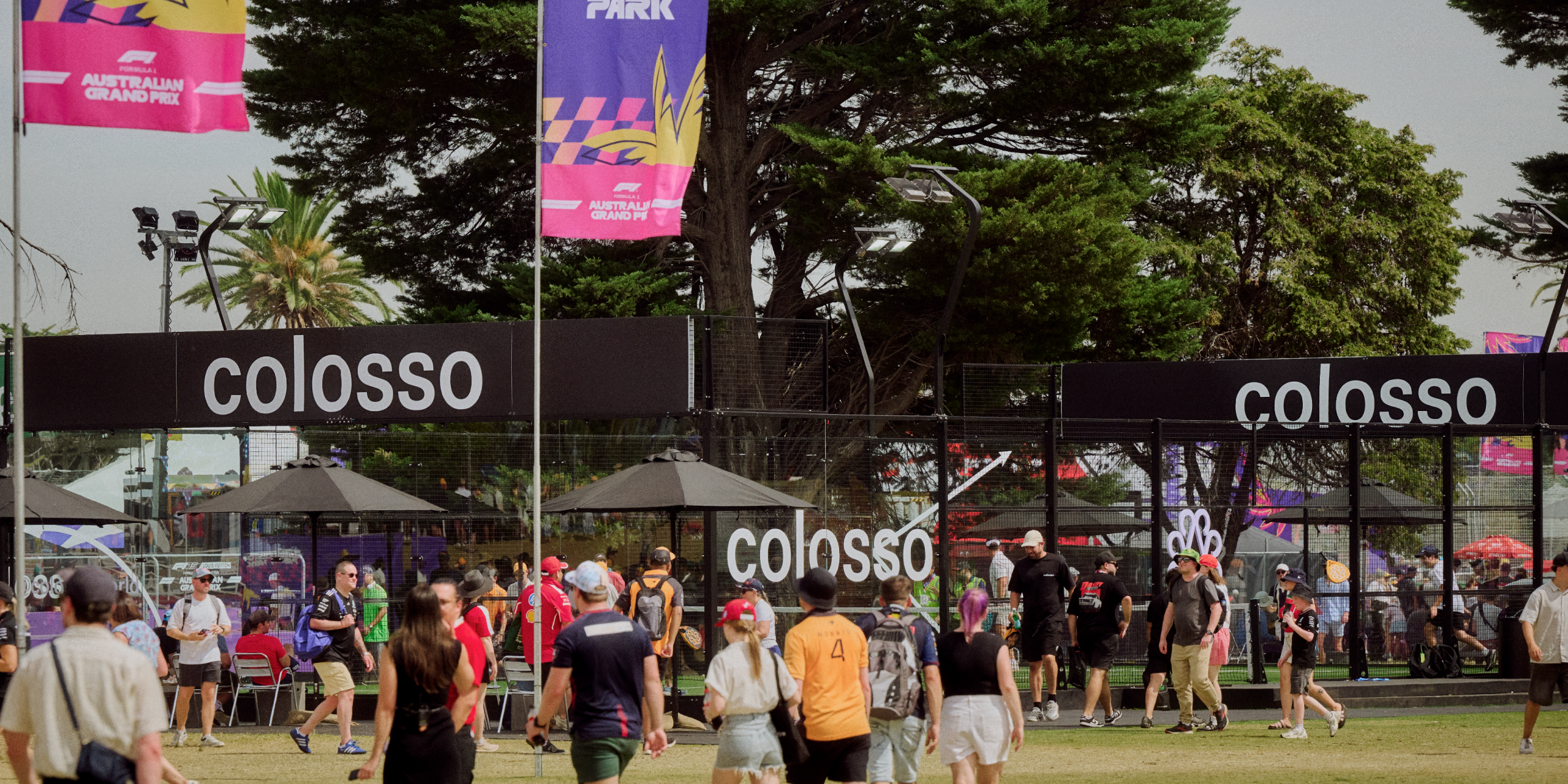 A hero Rosie Lee image