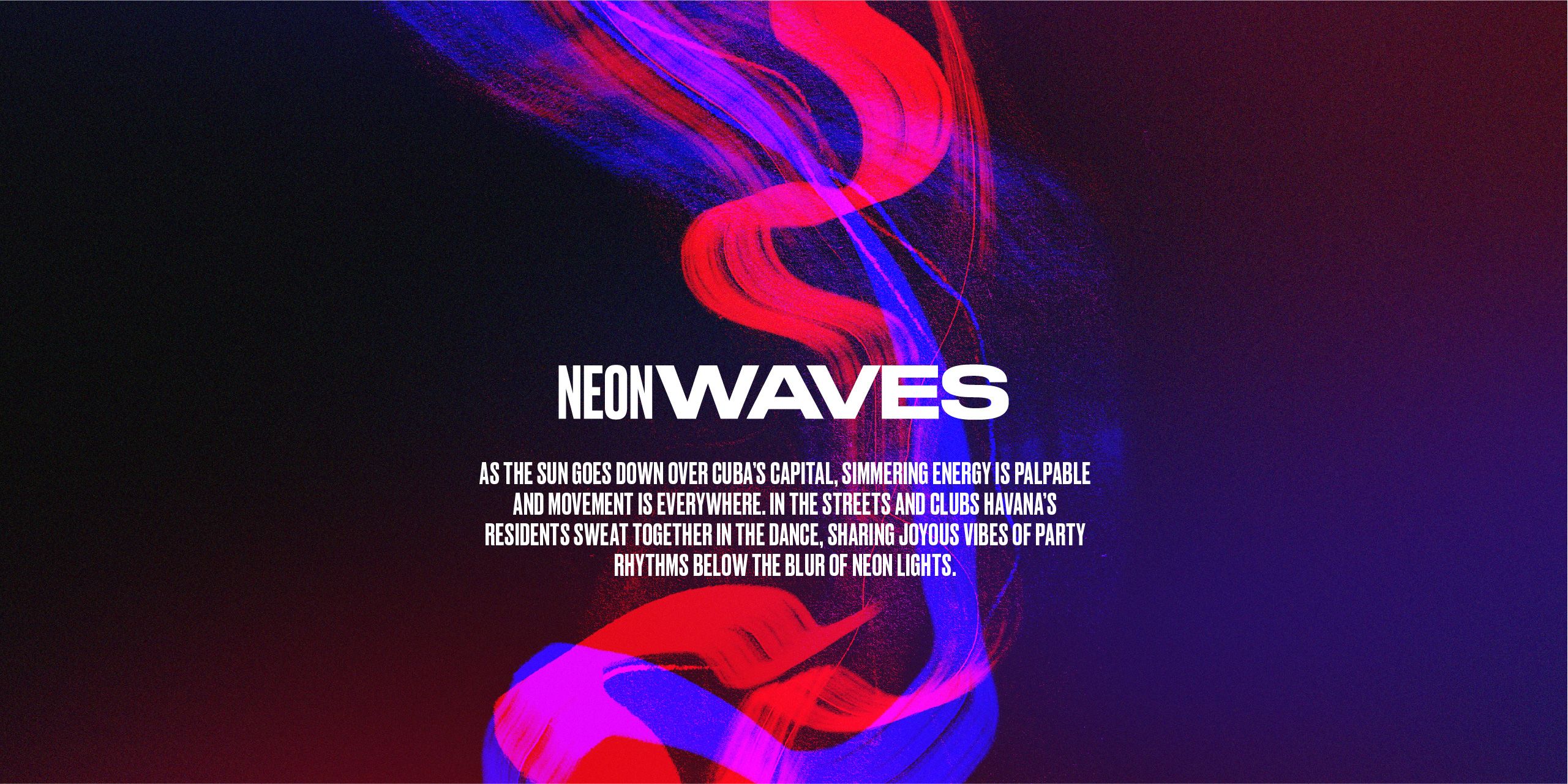 A hero Rosie Lee image