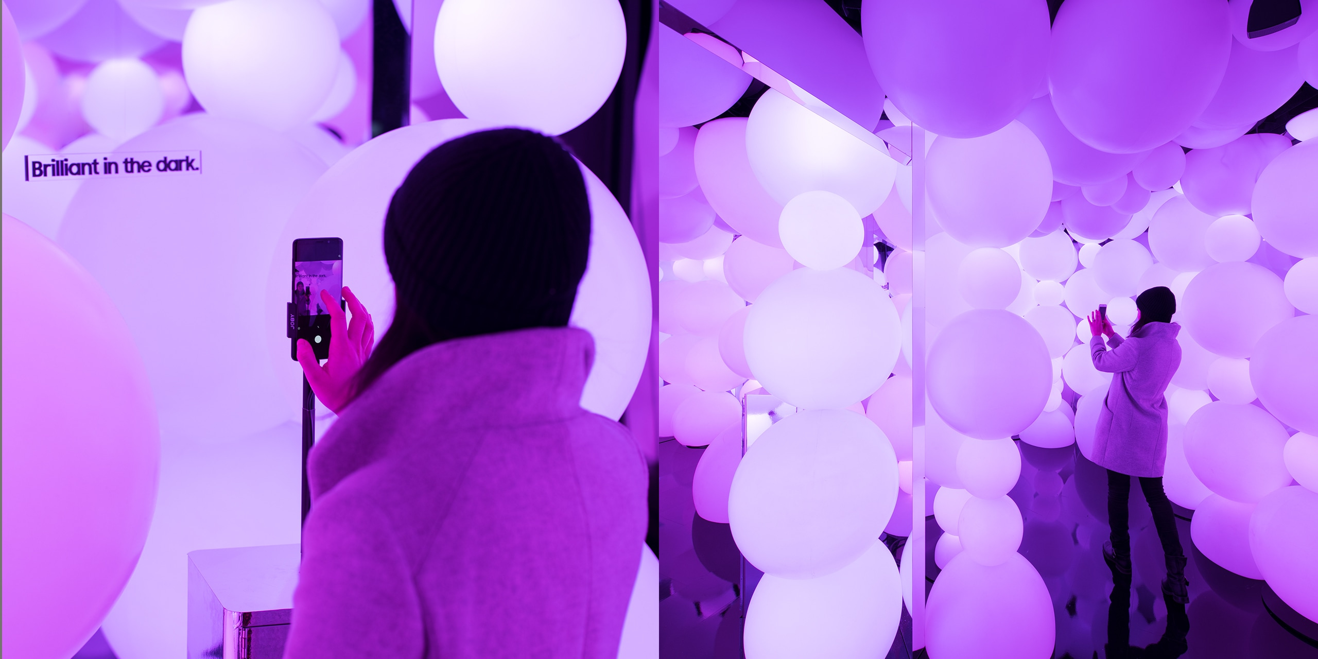 A hero Rosie Lee image