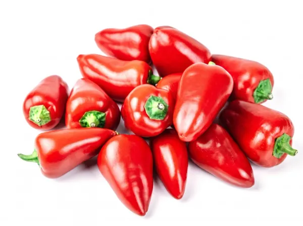 Pimiento piquillo