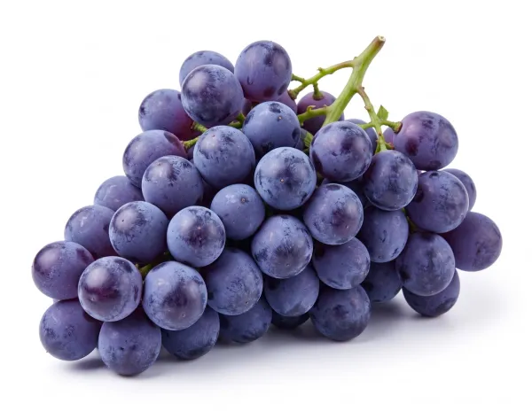 Uvas frescas