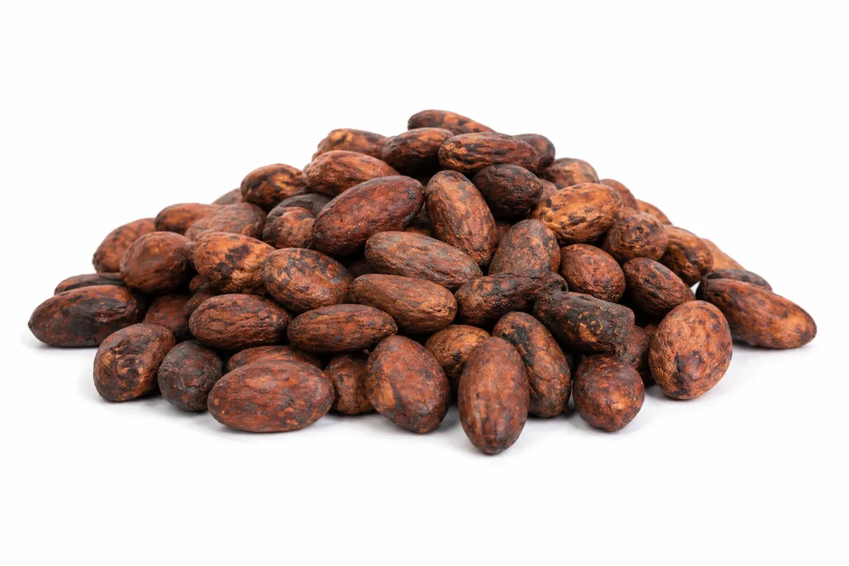 Cacao beans