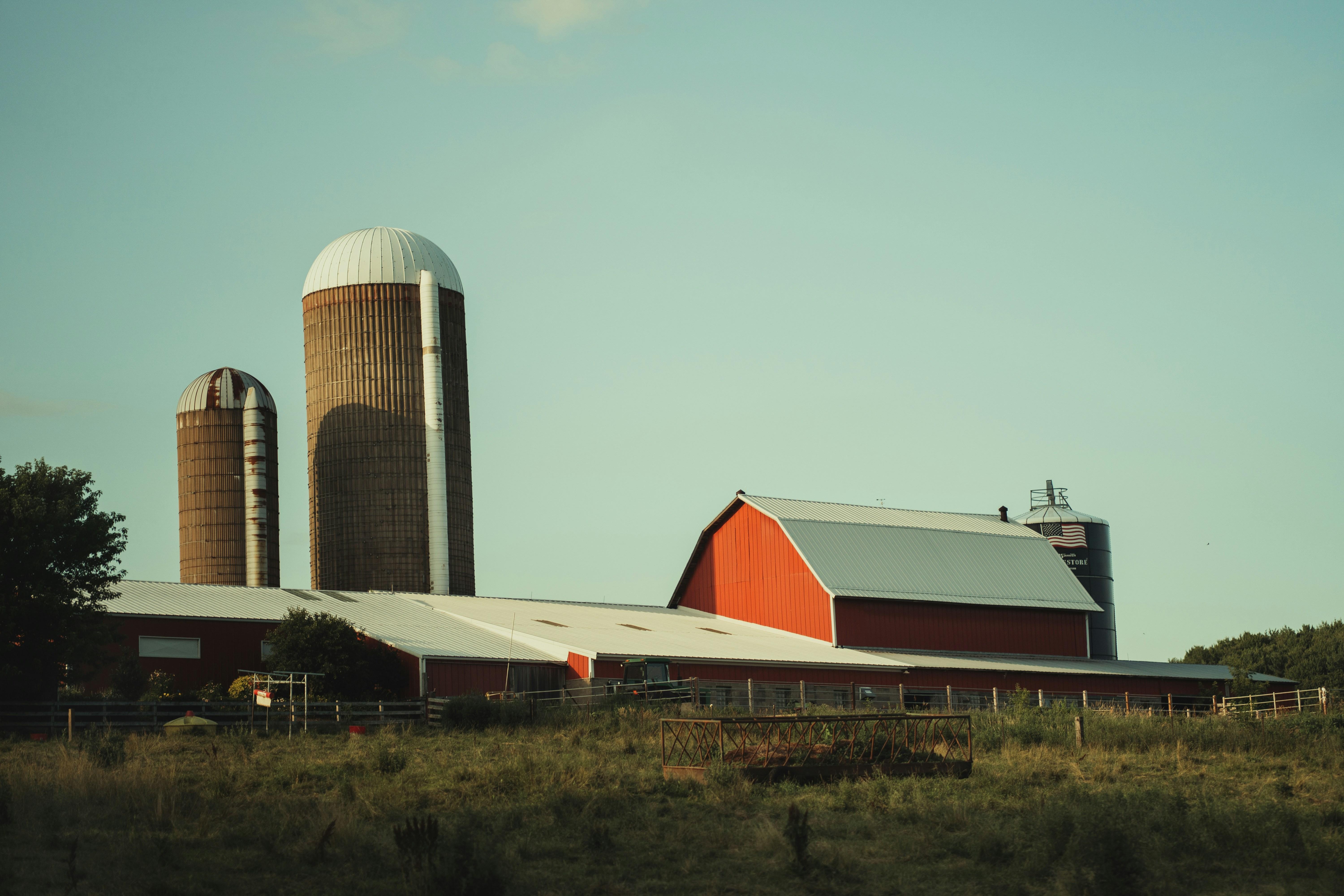 Big dairy farm red barn with white roof and 2 silos
