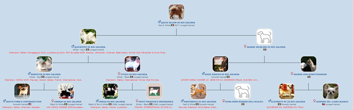 Pedigree de Quick Silver