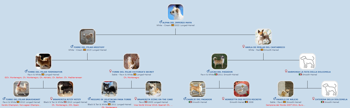 Pedigree de Alpha