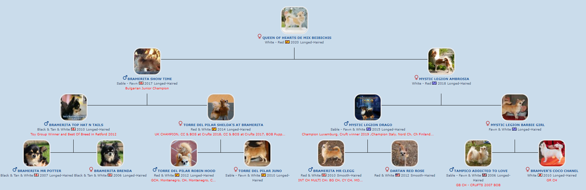 Pedigree de Queen of Hearts