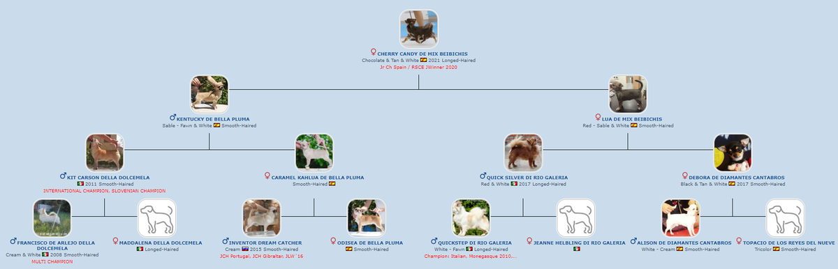 Pedigree de Cherry Candy