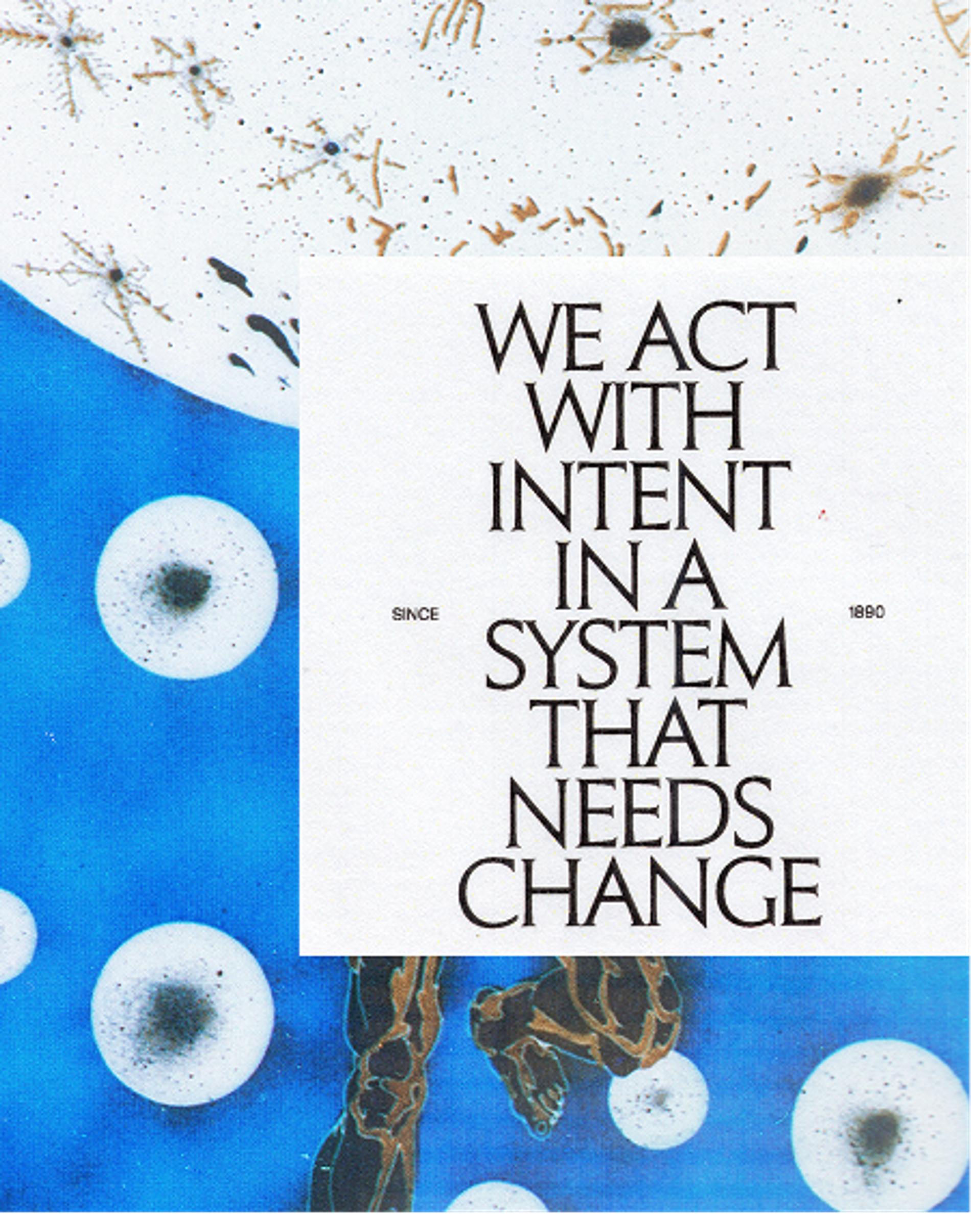 EXPERIMENTS