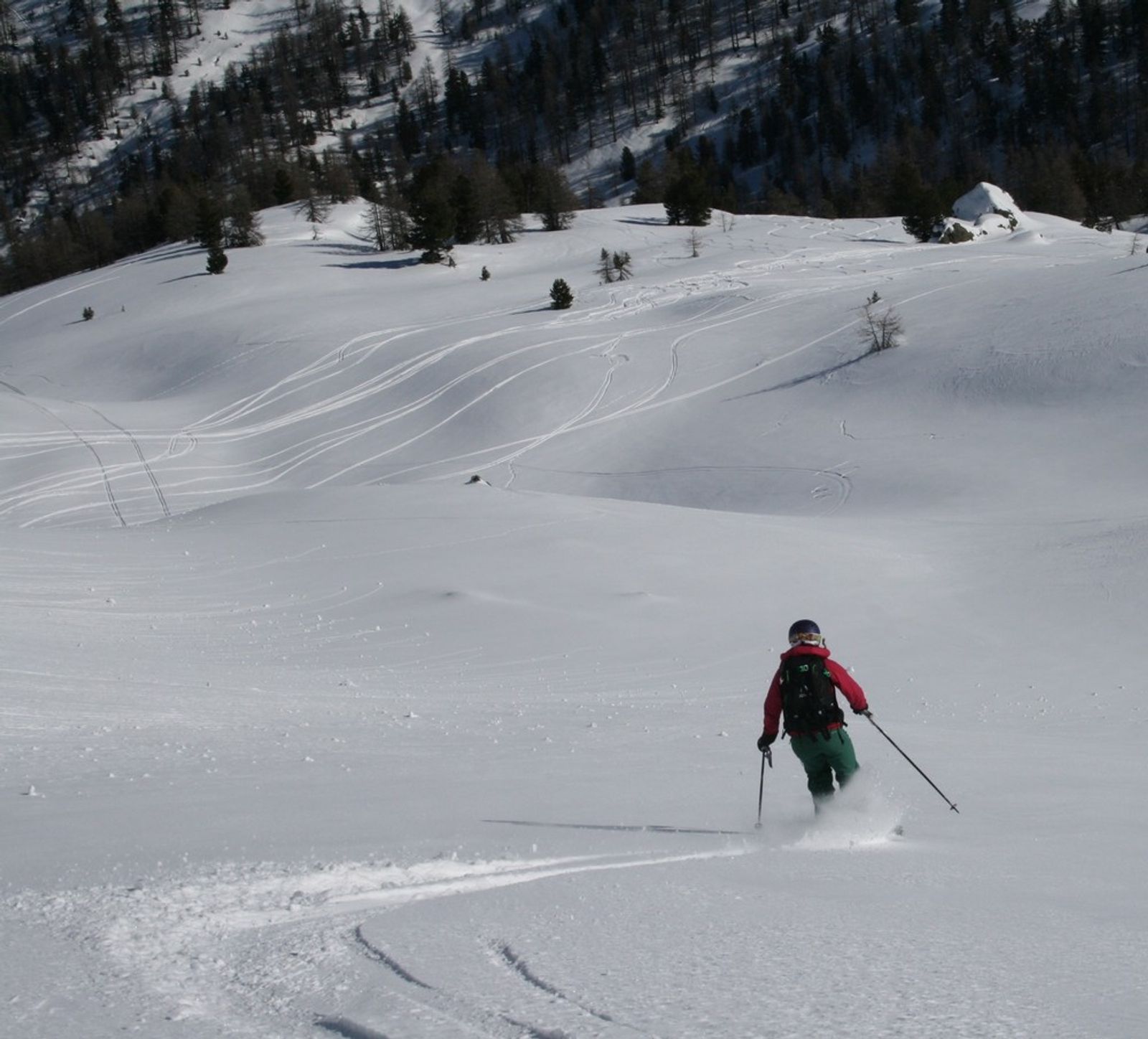 Samantha skie dans la neige fraîche sur une pente ouverte bordée de mélèzes.