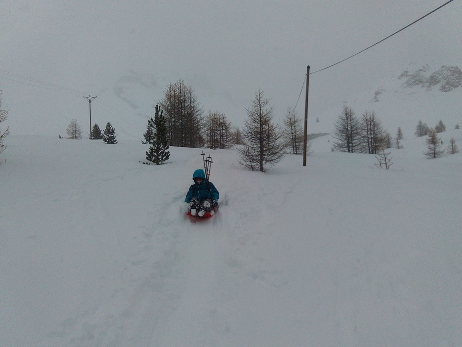 Descente en luge