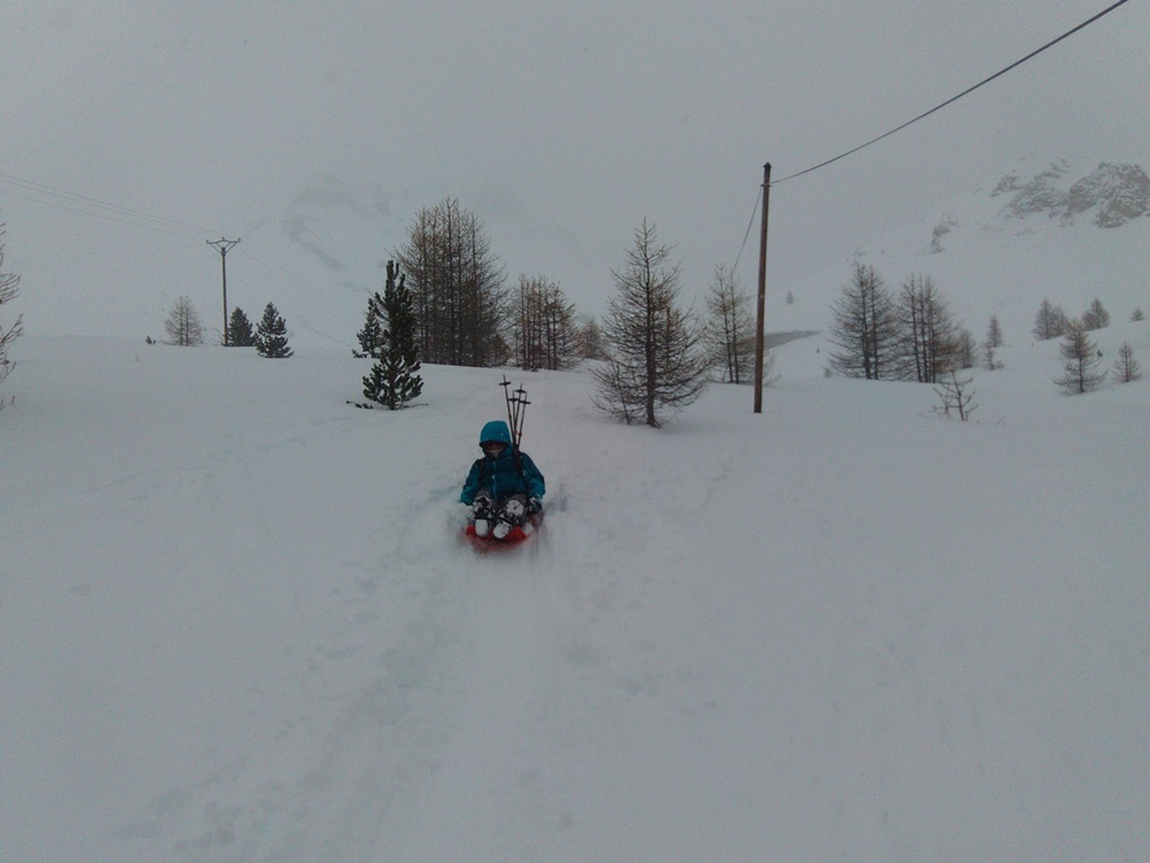Descente en luge