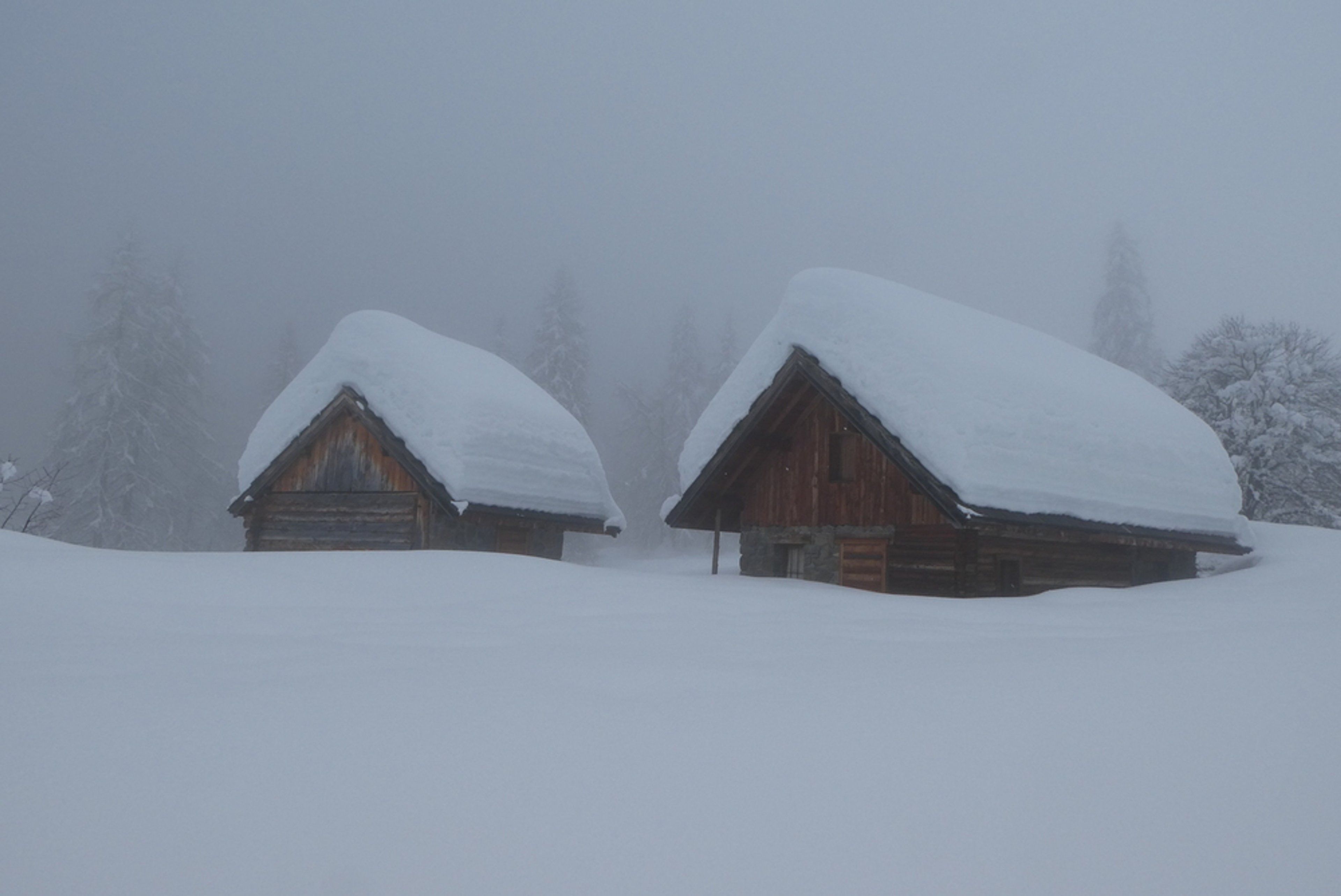 Crête de Reychard - Petite épaisseur de neige là!