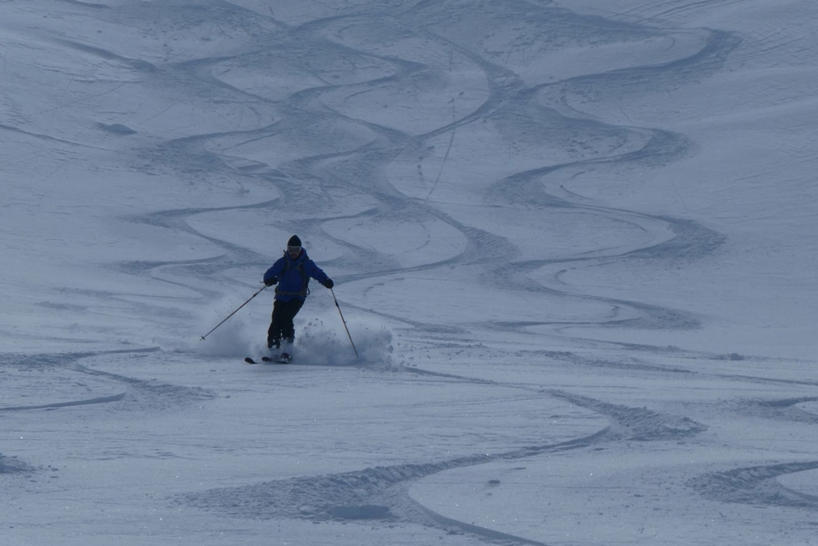 Skieurs enchaînant les virages dans une pente poudreuse