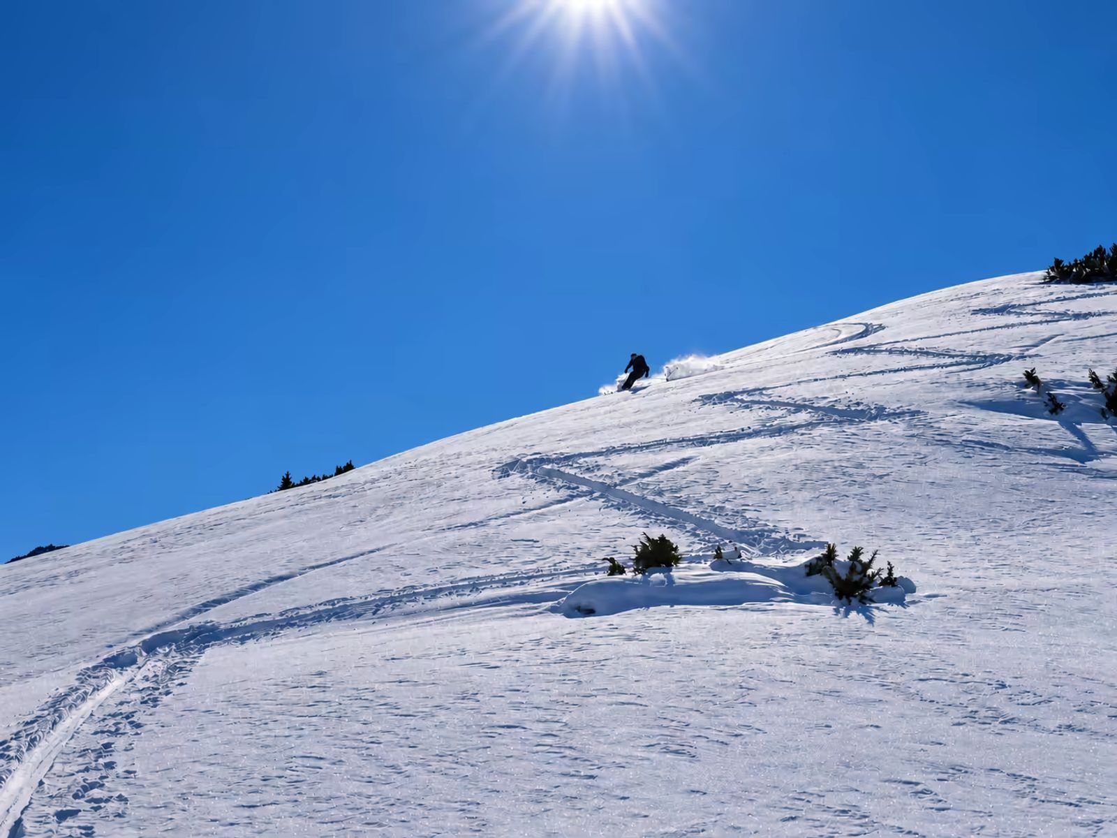Lolo fait de belles traces à côté de la trace de montée au dessus de Jyrgalan
