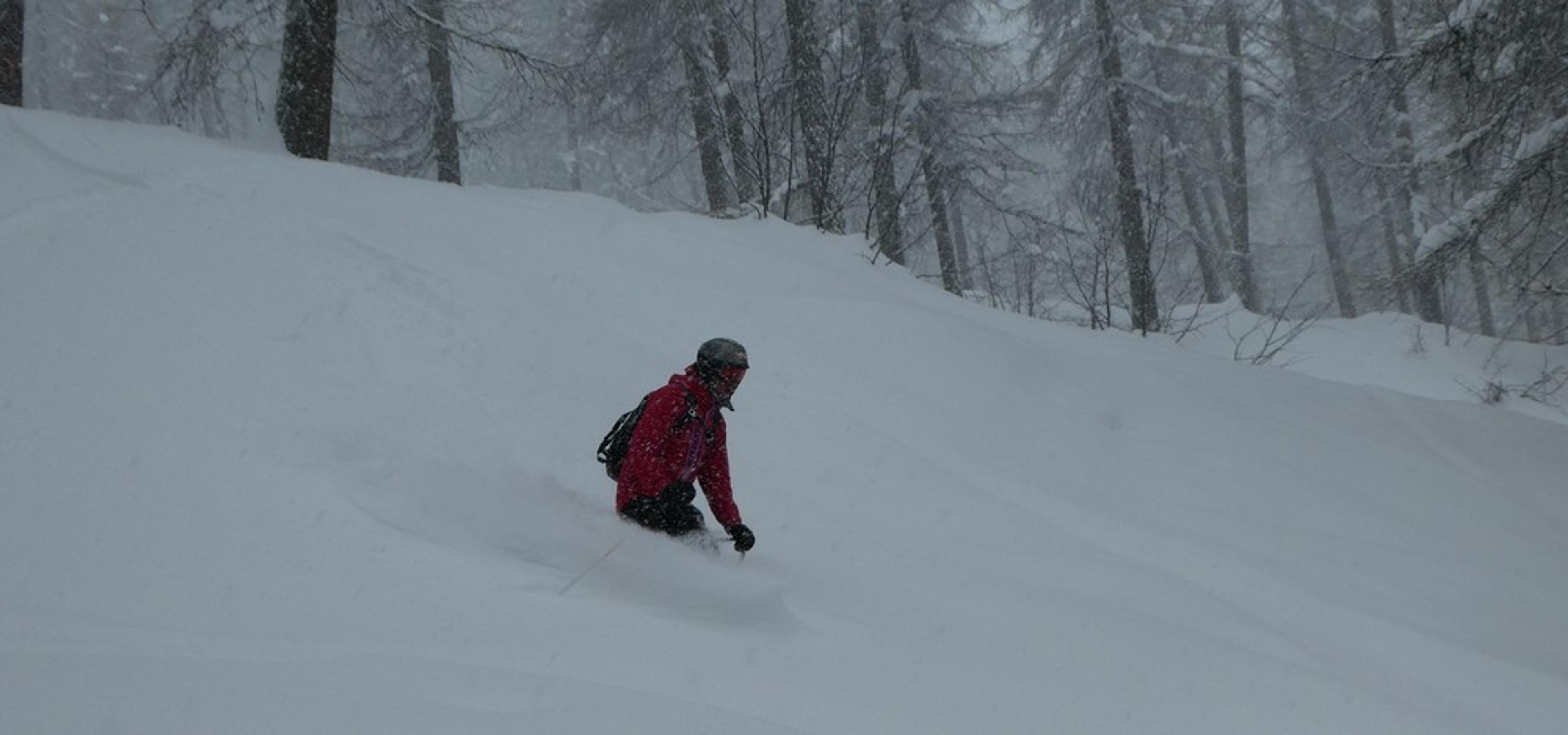 Hors piste Puy Saint Vincent - Bois de la Draille