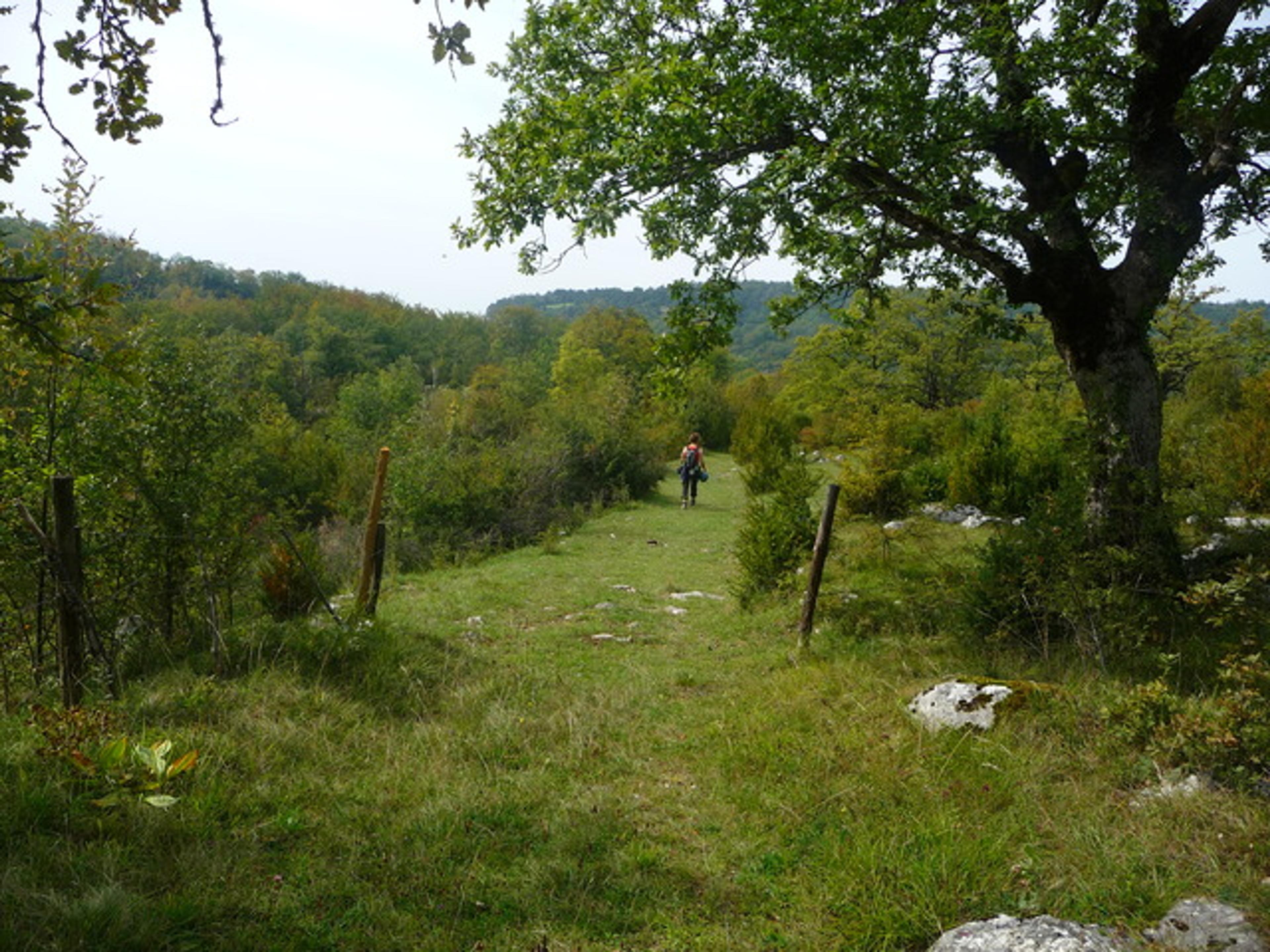 Le Temps des guenilles - Retour bucolique par le plateau