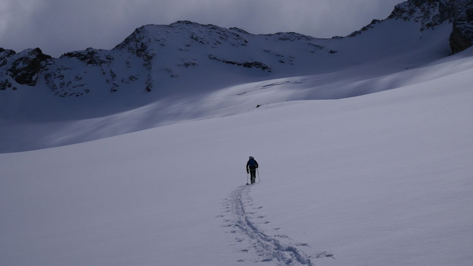Antoine into the white wild