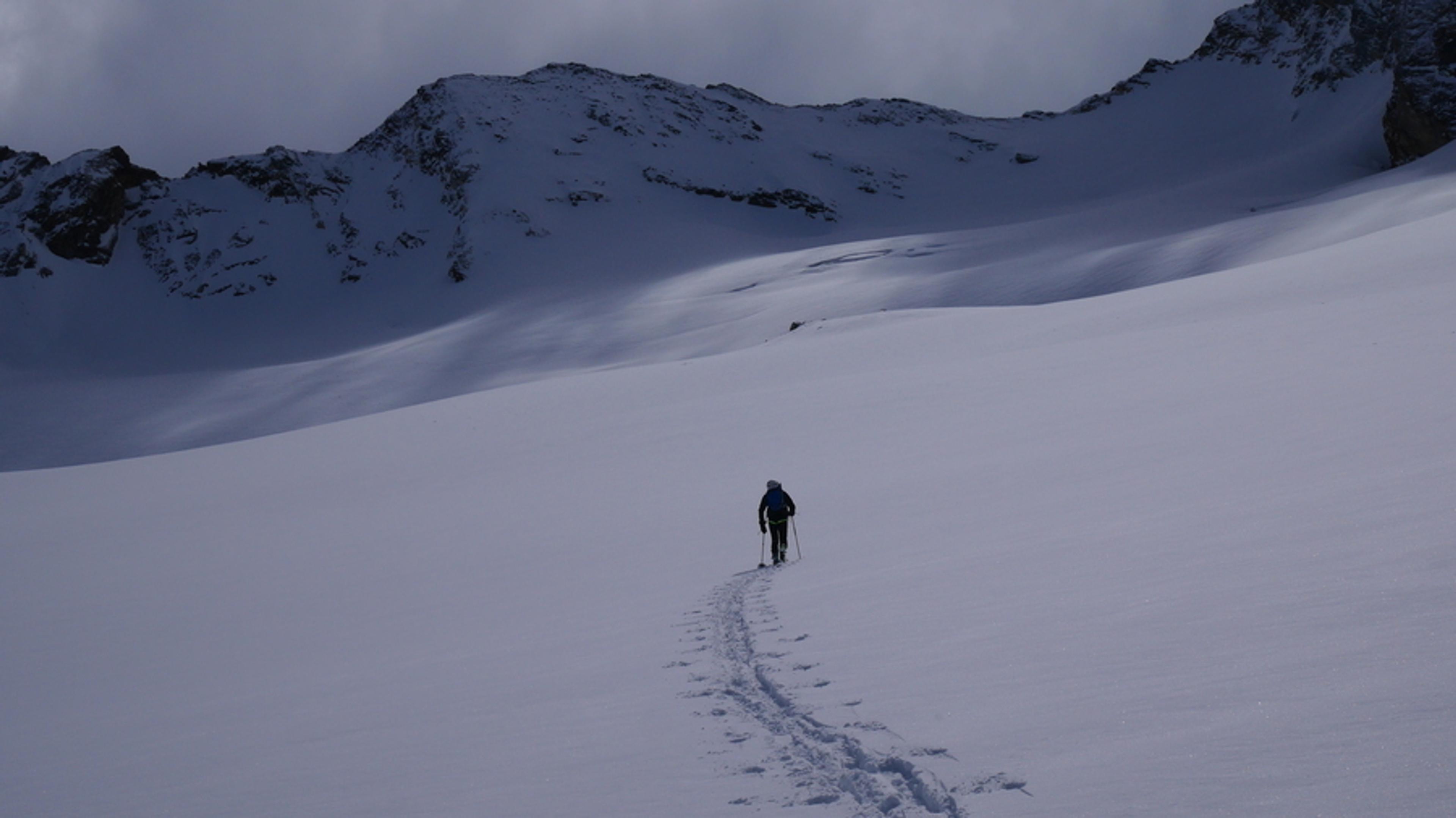 Antoine into the white wild