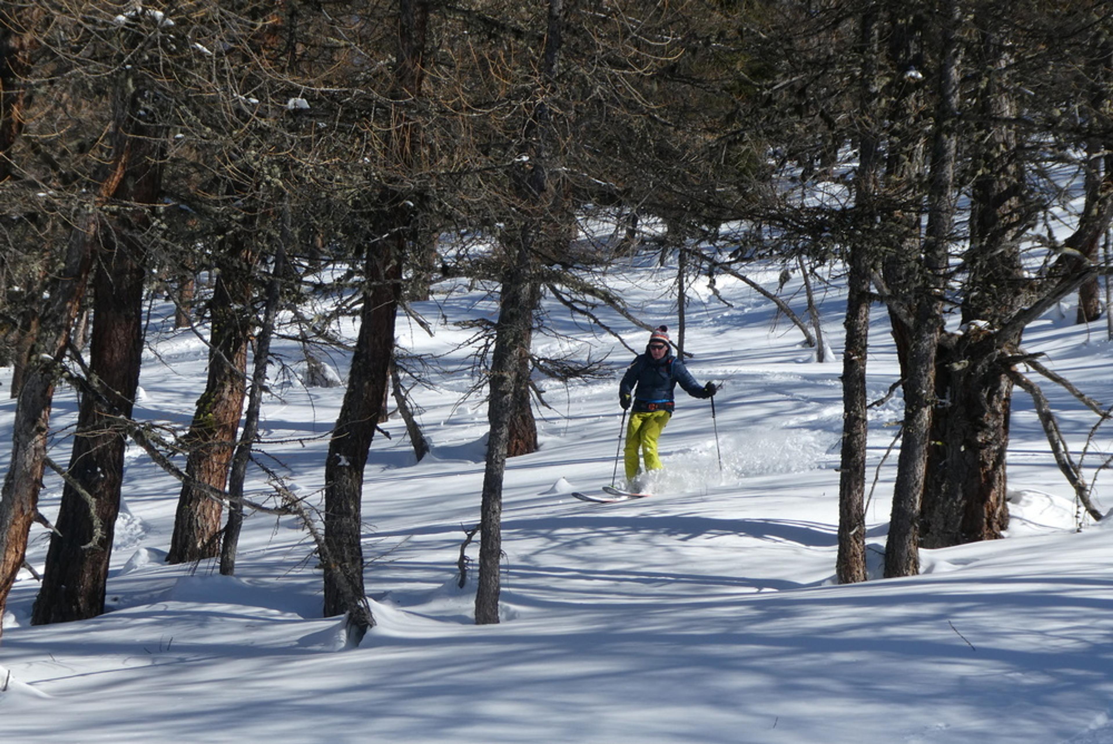 Freerando Bardonecchia - Tor dernier run