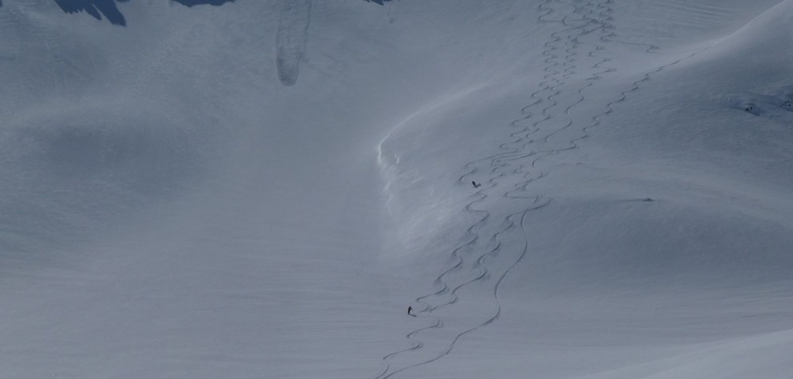 Groupe de skieurs dessinant des virages dans la poudreuse