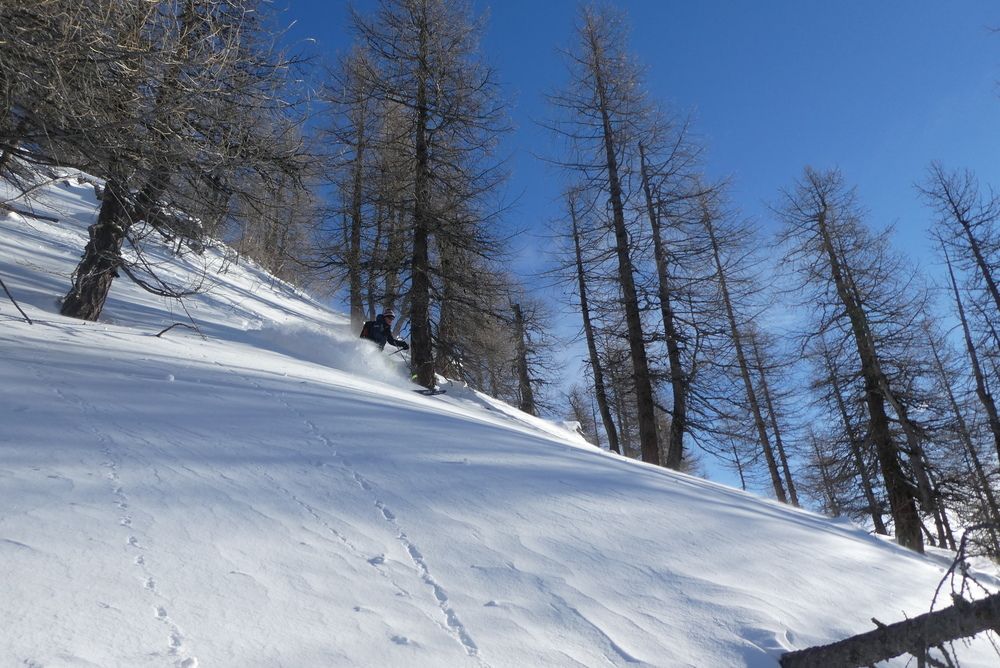 Freerando Bardonecchia — photo 1