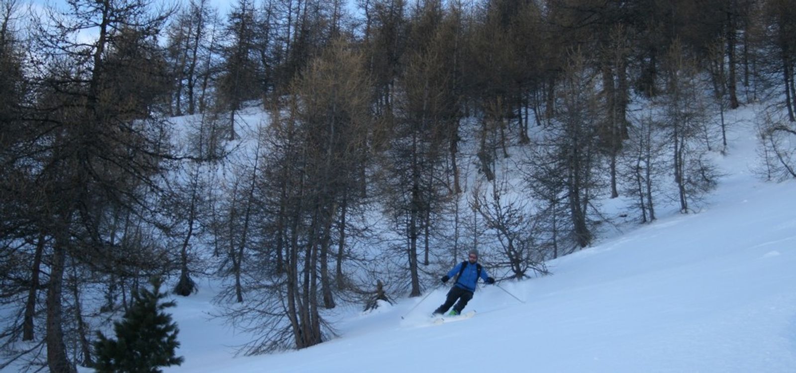 Ski Touring - Les Orres - Woods Covered in Powder!