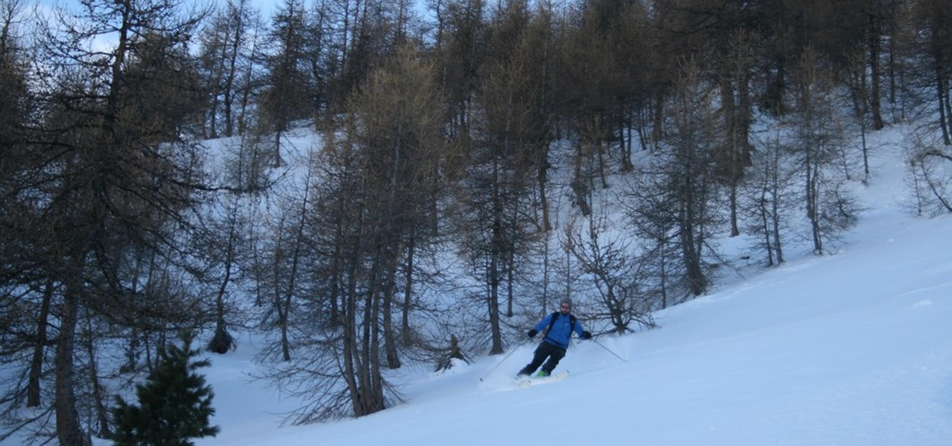 Ski de randonnée - Les Orres - Des bois tout poudre!