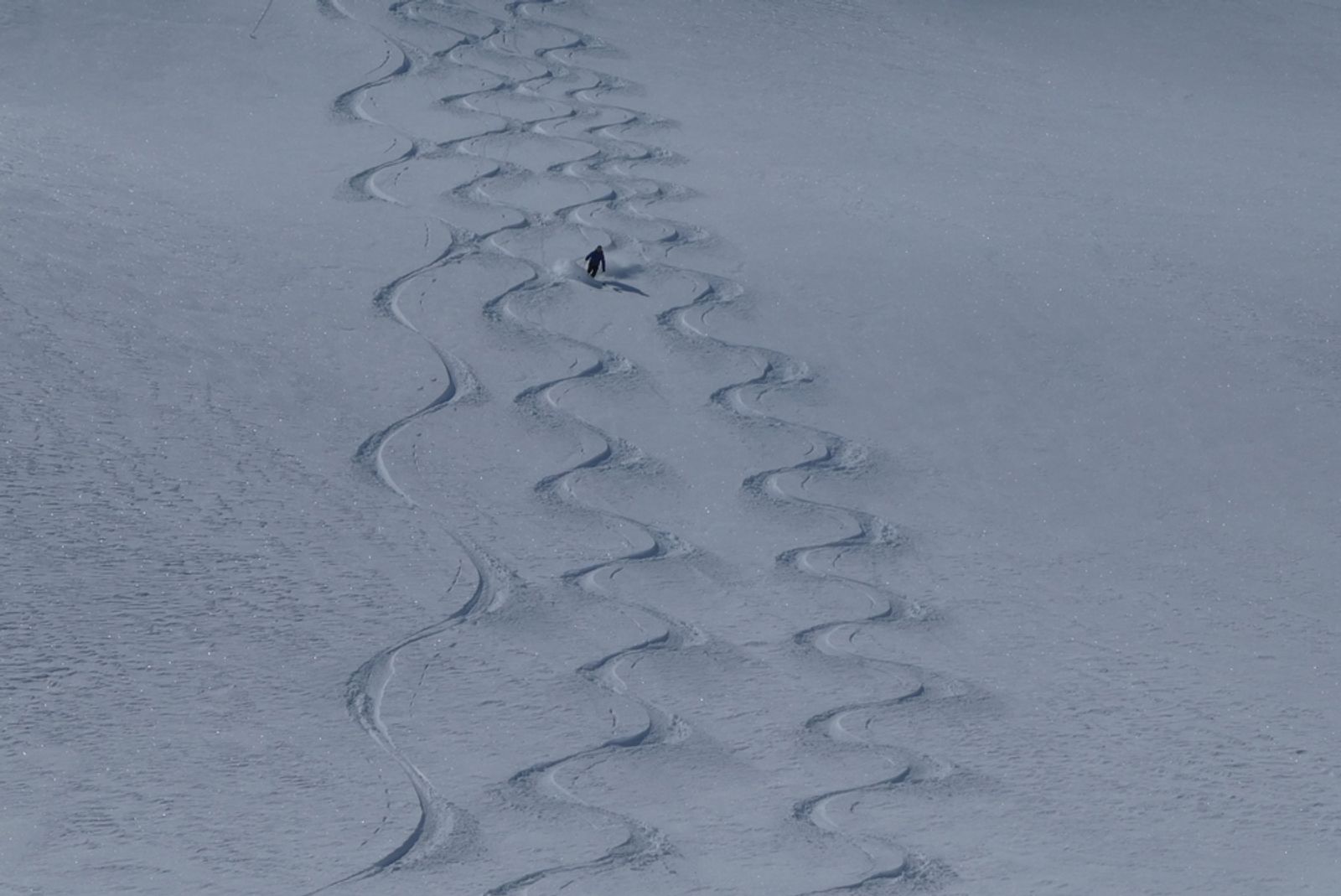 François se faufile entre les traces dans la poudreuse