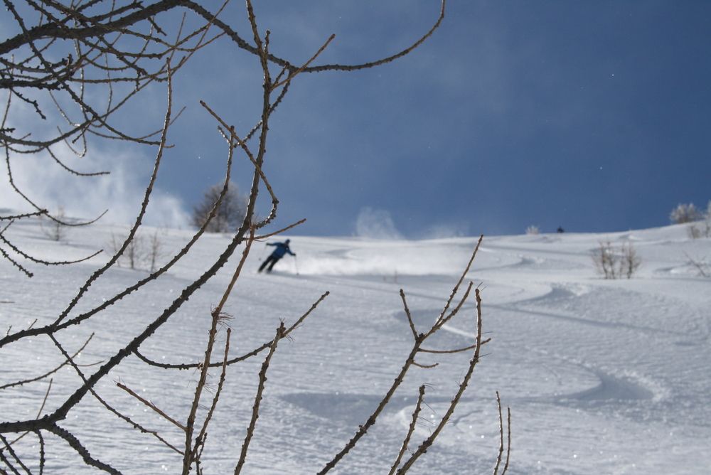 Free rando dans les Hautes-Alpes