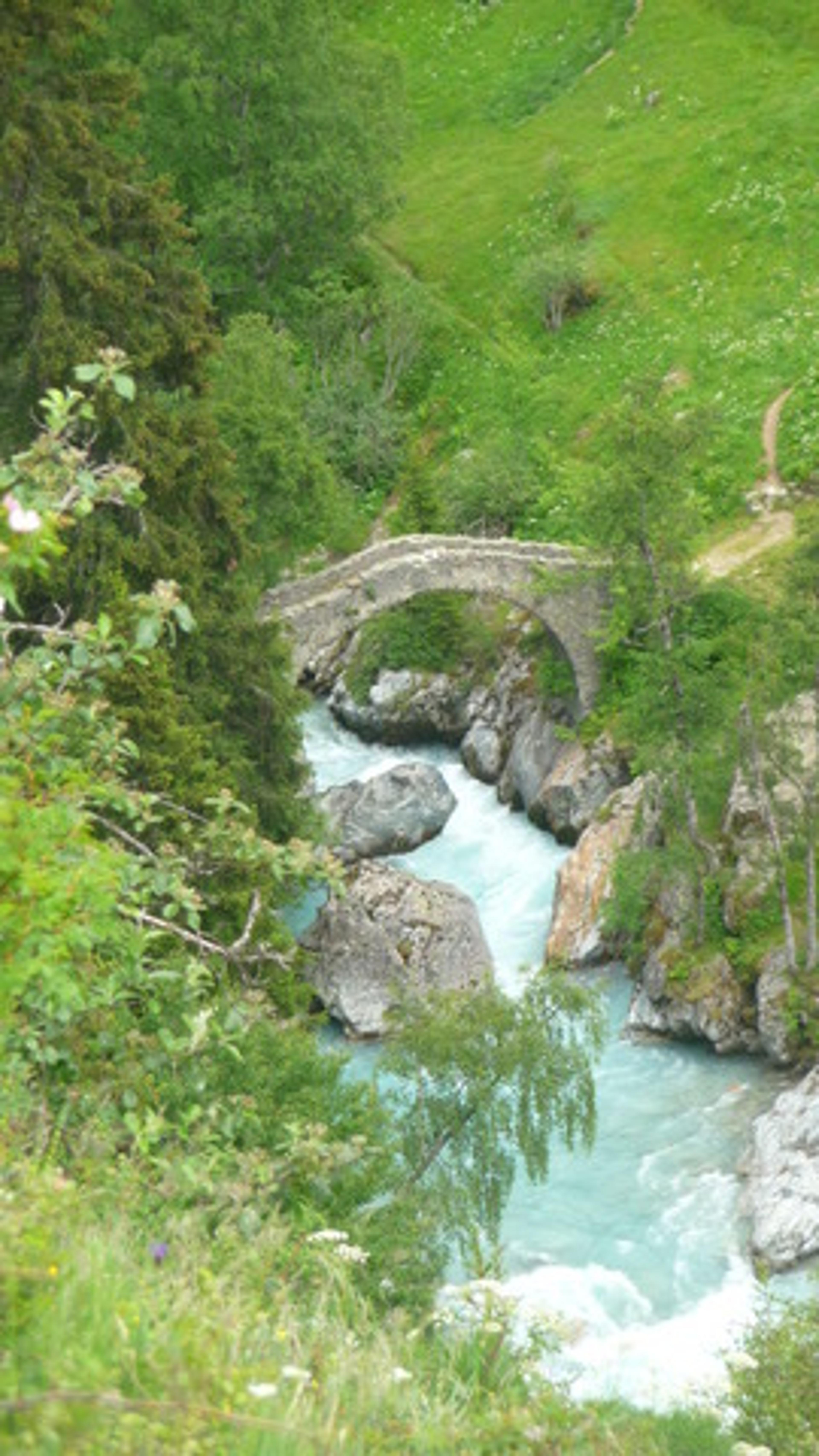 Le pont sur le Vénéon