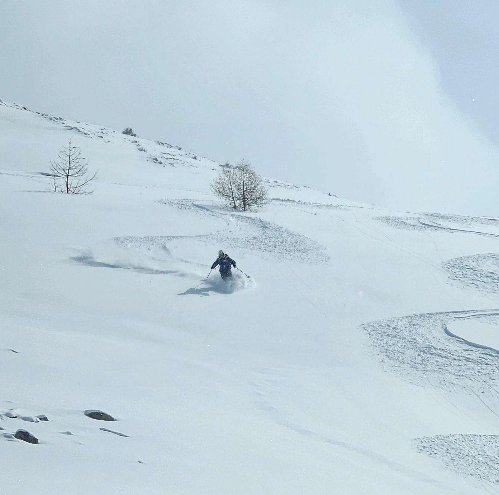 Skieur dans la poudreuse entre arbres et petits cailloux