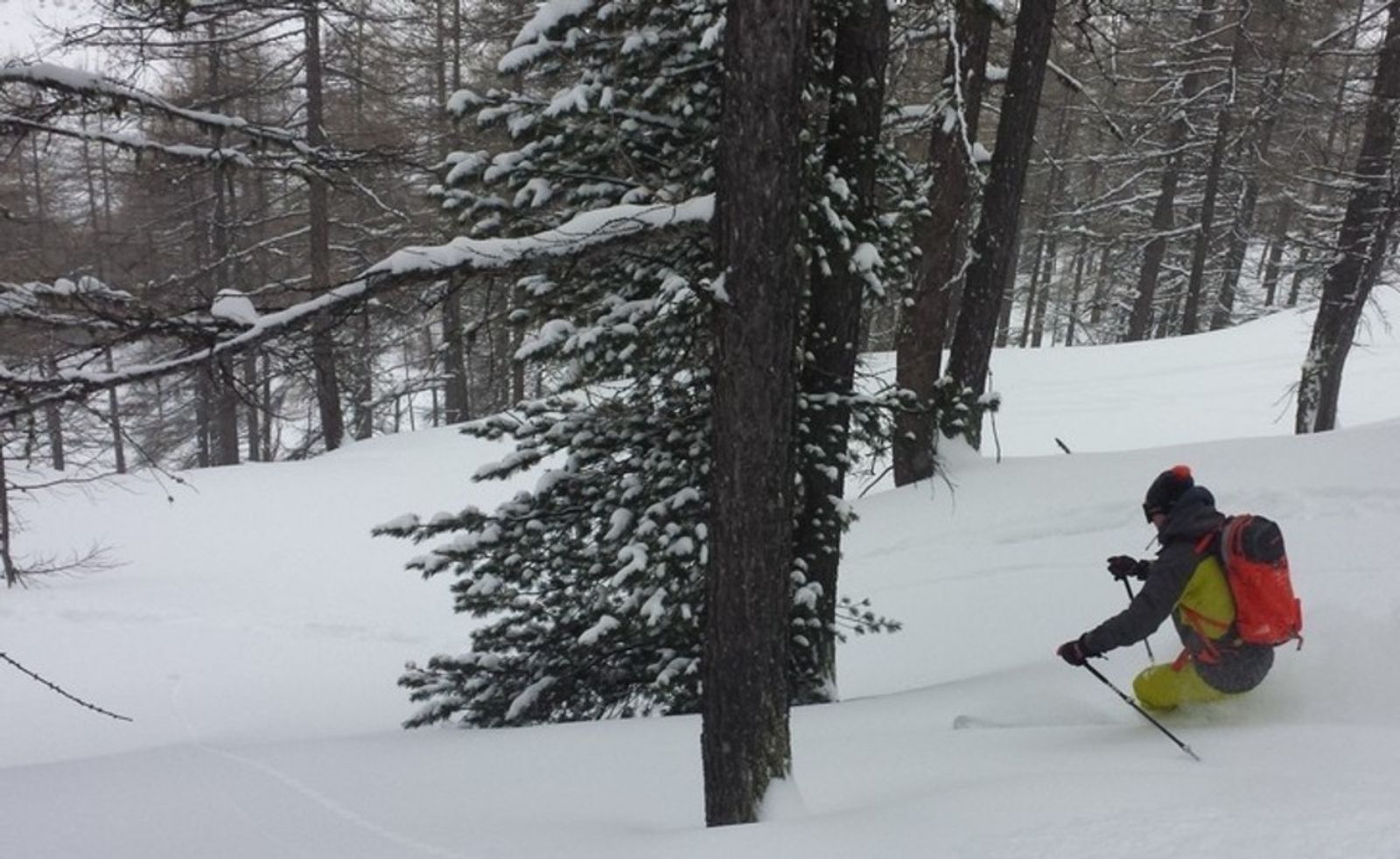 Skieur en pantalon jaune tournant près d’un sapin enneigé à Abriès.