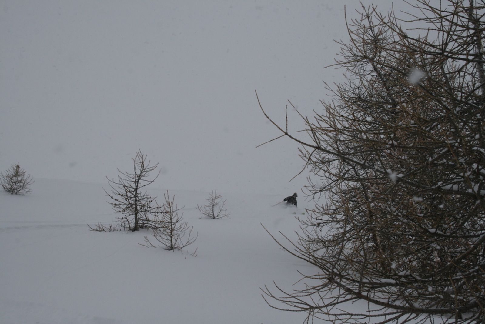 Popow day - deux fois! — photo 4