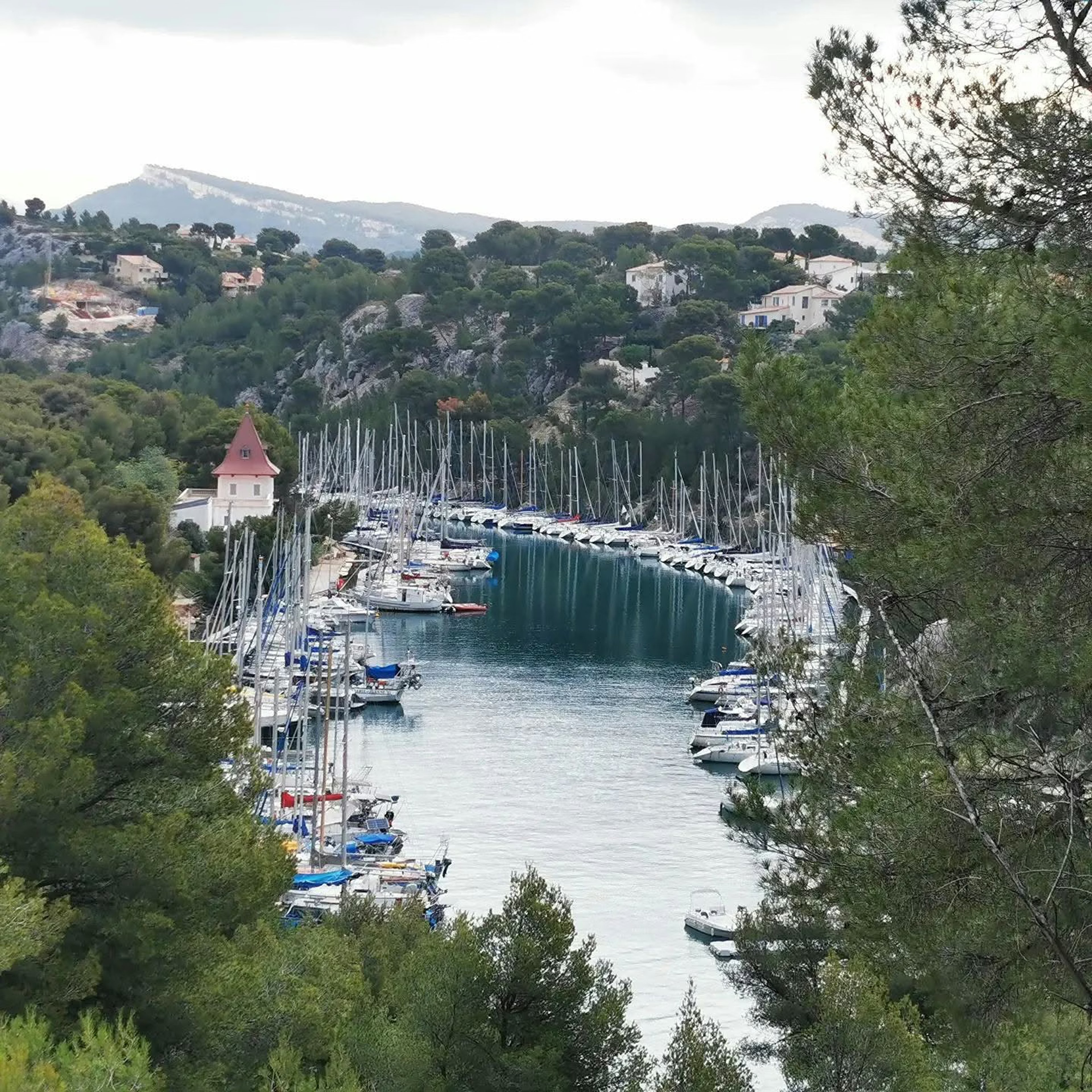 Petit port abrité dans une calanque, entouré de pins et de maisons.