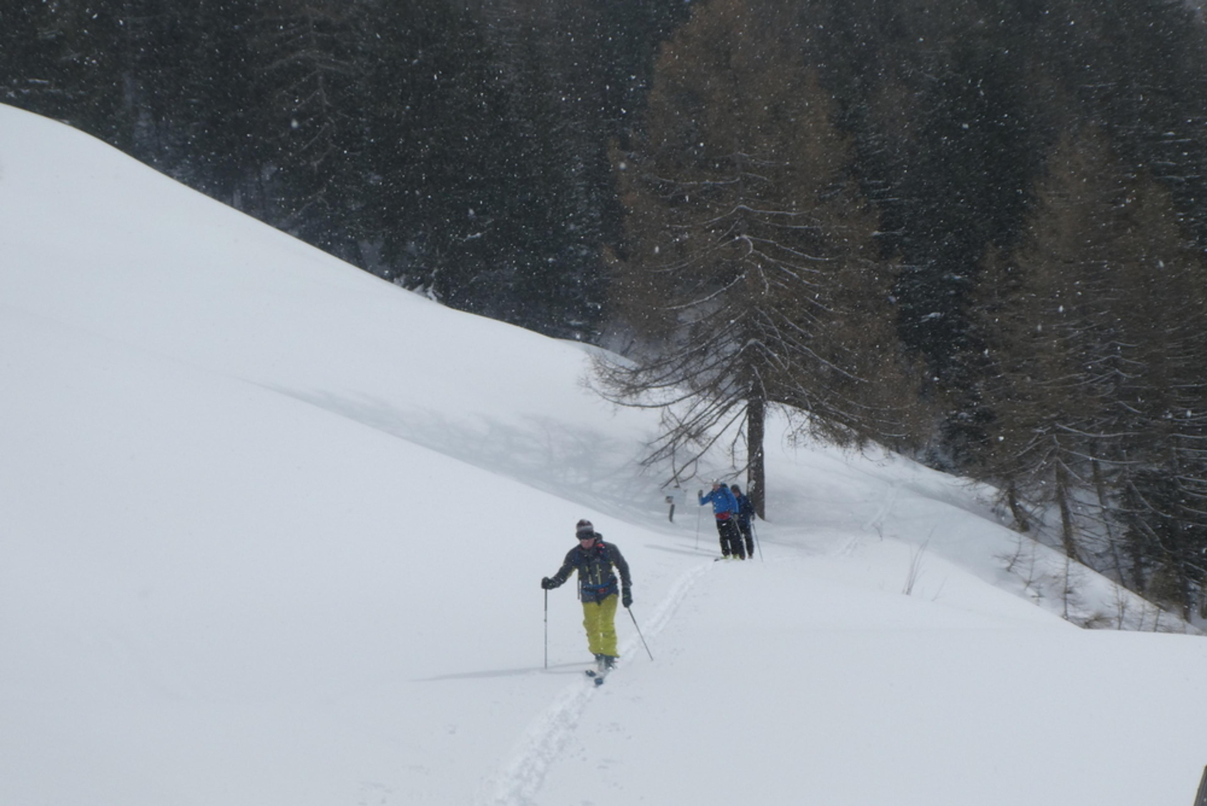 Freerando Bardonecchia - Retour
