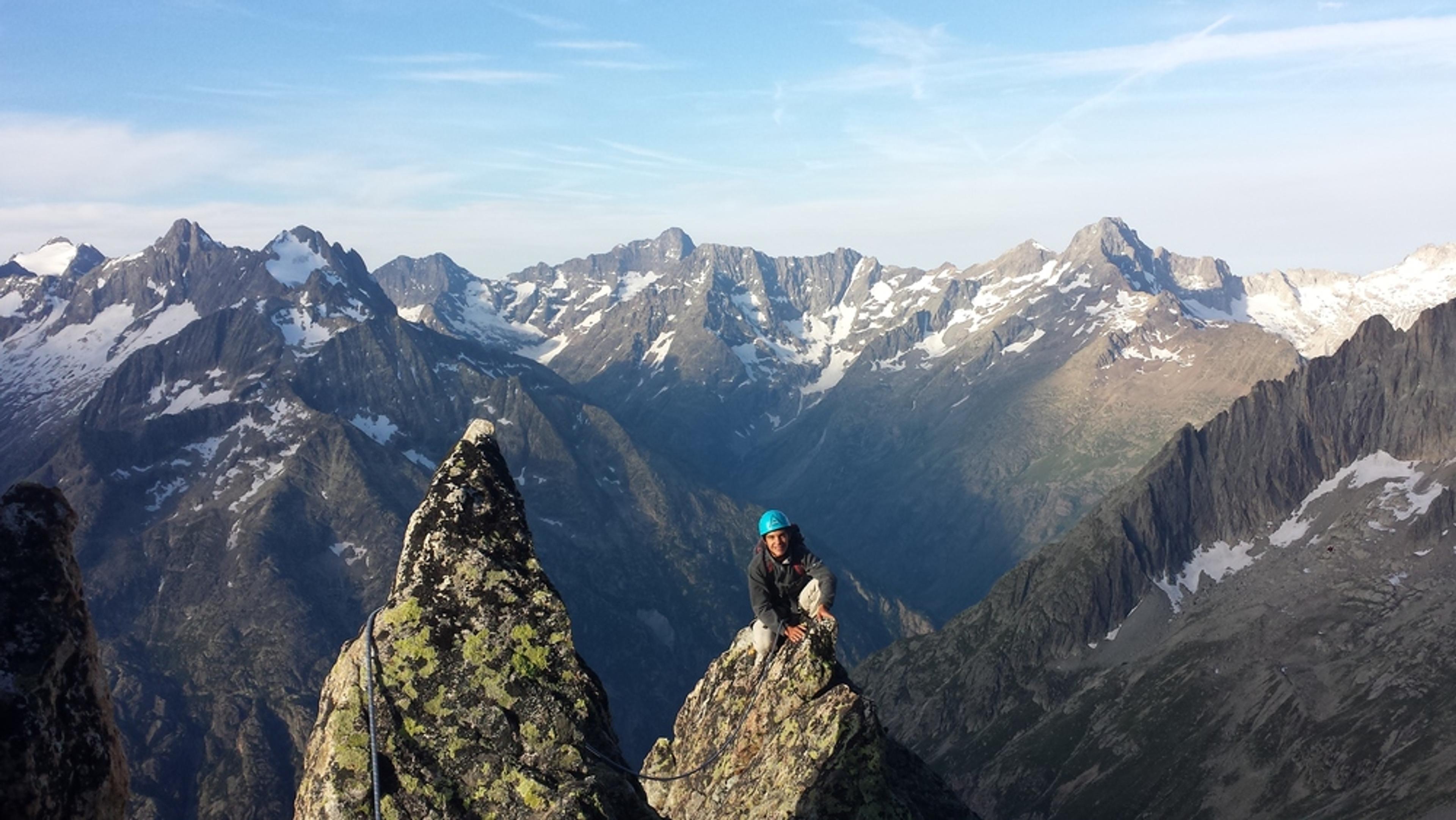 Aiguille Occidentale du Soreiller - Bouquetin perché